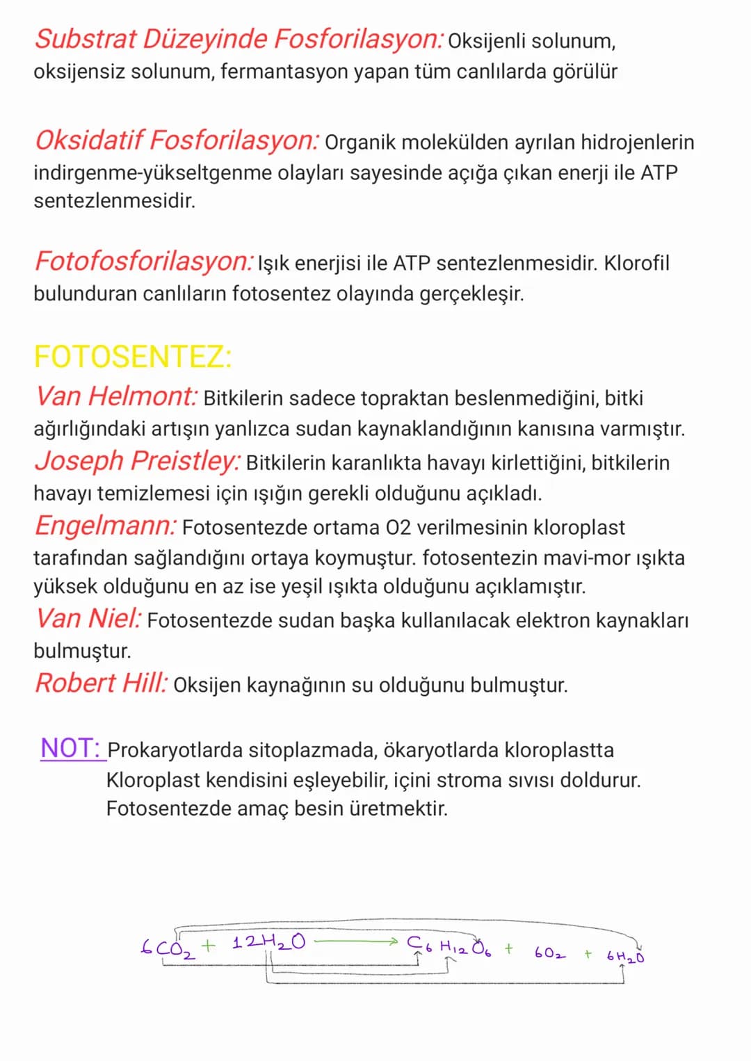 Rna: Prokaryot hücrelerde sitoplazma ve ribozomda, ökaryot hücrelerde
çekirdek, sitoplazma ve bazı organellerde bulunur. Bütün RNA çeşitleri