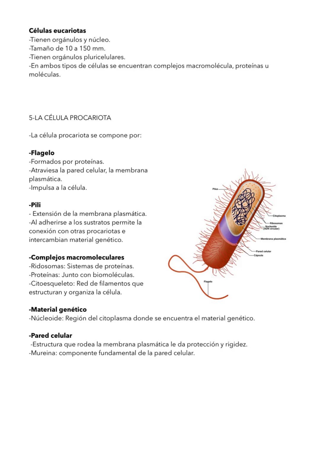 LA CELULA
1- TEORIA CELULAR
La célula unidad estructural
-Todos los seres vivos estamos formados por células.
-Los organimismos unicelular
