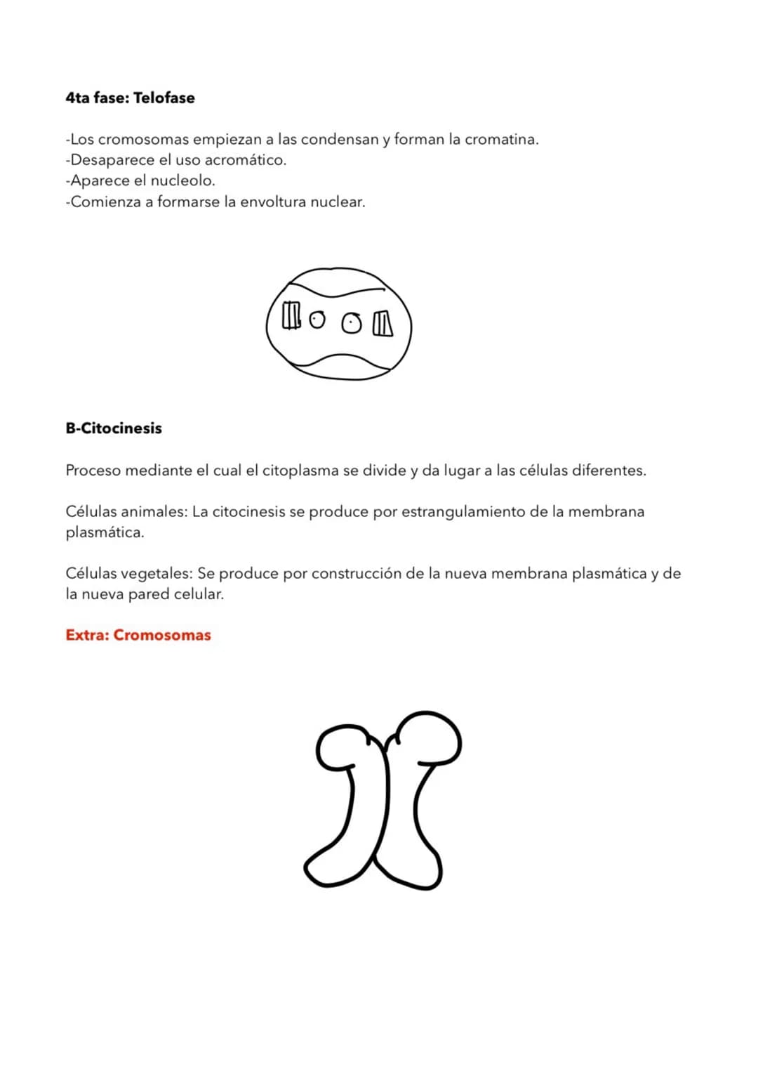 LA CELULA
1- TEORIA CELULAR
La célula unidad estructural
-Todos los seres vivos estamos formados por células.
-Los organimismos unicelular