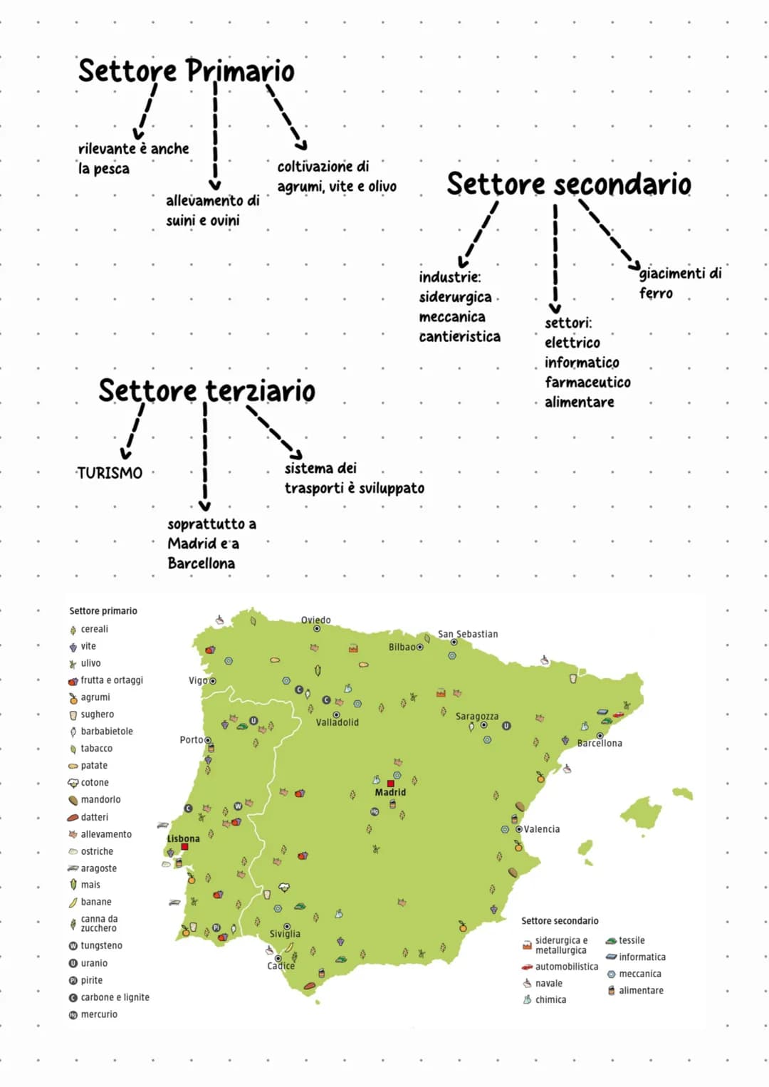 Territorio
È una penisola racchiusa
tra 2 mari (Atlantico e
Mediterraneo)
spagna
---> Appartengono alla Spagna anche
le isole Canarie e l