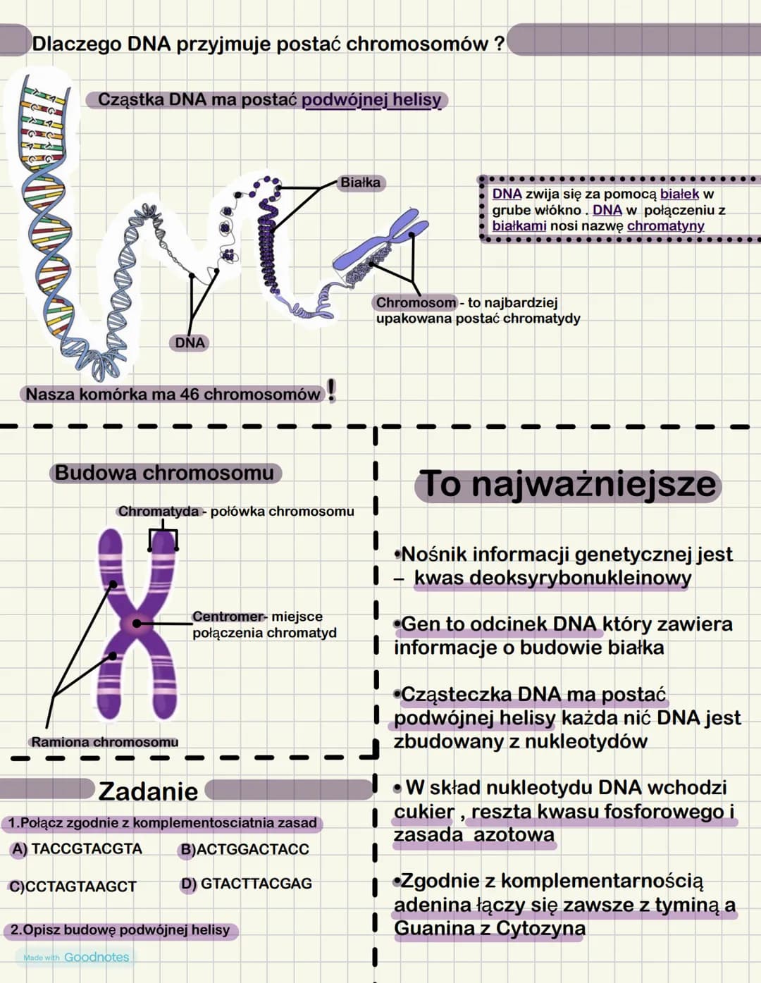 # Nośnik informacji genetycznej - DNA
Zapis wszystkich cech dziedzicznych organizmu nazywamy informacja
genetyczną jej nośnikiem jest mater