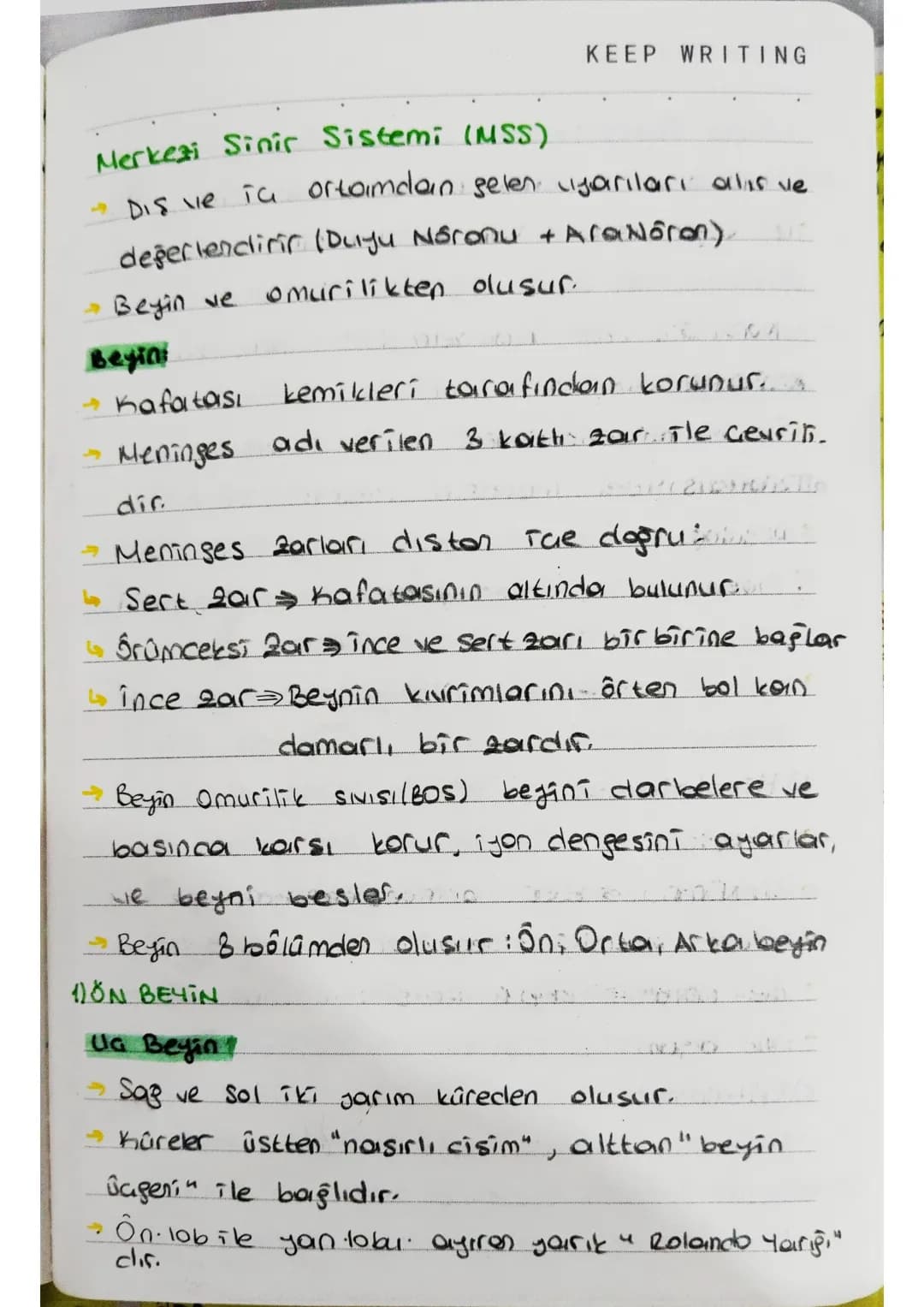 KEEP WRITING
Sinaps
Biro sinir hücresinin başka bir sinir hücresi.
ile veya tepki organıyla bağlantı yaptığı jerdir.
Sinapsın Gerçeklesmesi