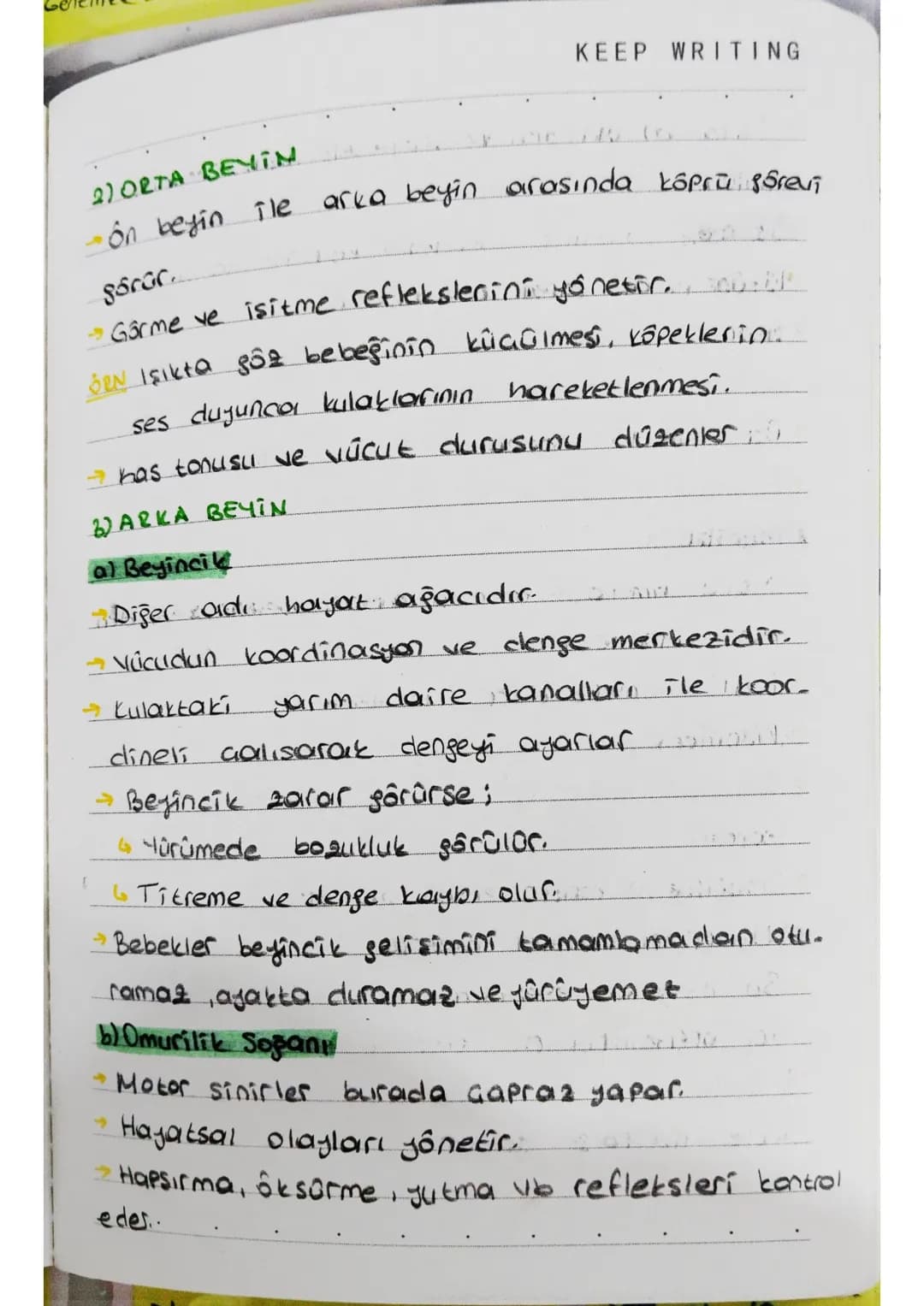 KEEP WRITING
Sinaps
Biro sinir hücresinin başka bir sinir hücresi.
ile veya tepki organıyla bağlantı yaptığı jerdir.
Sinapsın Gerçeklesmesi