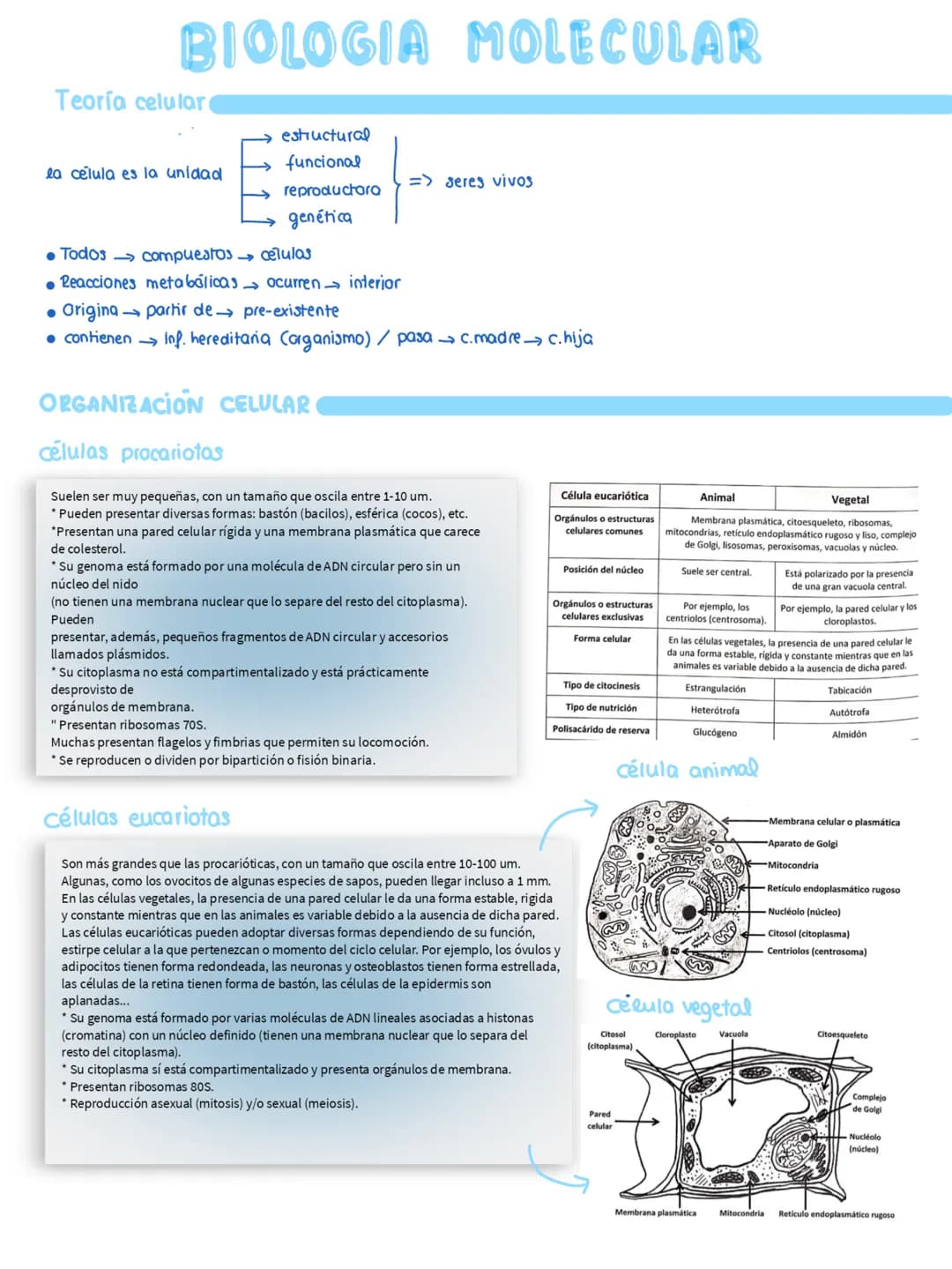 # BIOLOGIA MOLECULAR
Teoría celular
la célula es la unidad
structural
funcional
reproductora
=> seres vivos
genética
• Todos compuestos