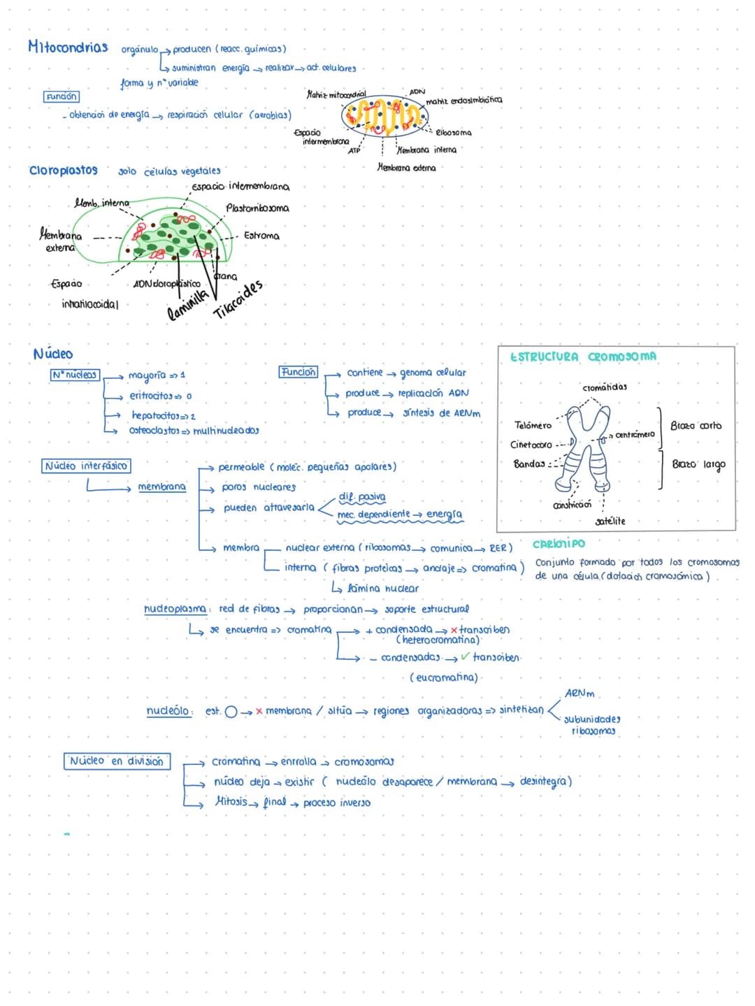 # BIOLOGIA MOLECULAR
Teoría celular
la célula es la unidad
structural
funcional
reproductora
=> seres vivos
genética
• Todos compuestos