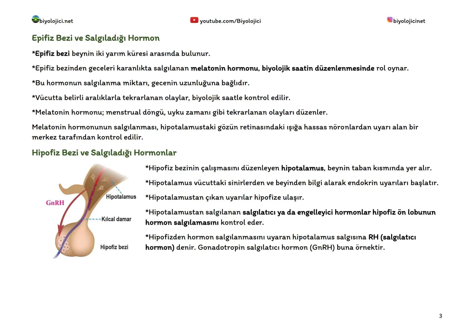 biyolojici.net
youtube.com/Biyolojici
biyolojicinet
# ENDOKRİN SİSTEM (HORMONAL SİSTEM)
*Vücuttaki faaliyetleri kontrol eden, kimyasal haber