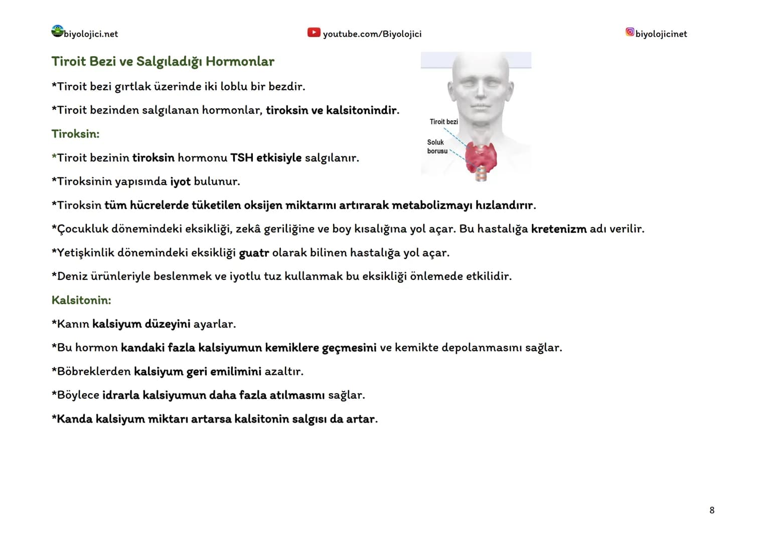 biyolojici.net
youtube.com/Biyolojici
biyolojicinet
# ENDOKRİN SİSTEM (HORMONAL SİSTEM)
*Vücuttaki faaliyetleri kontrol eden, kimyasal haber