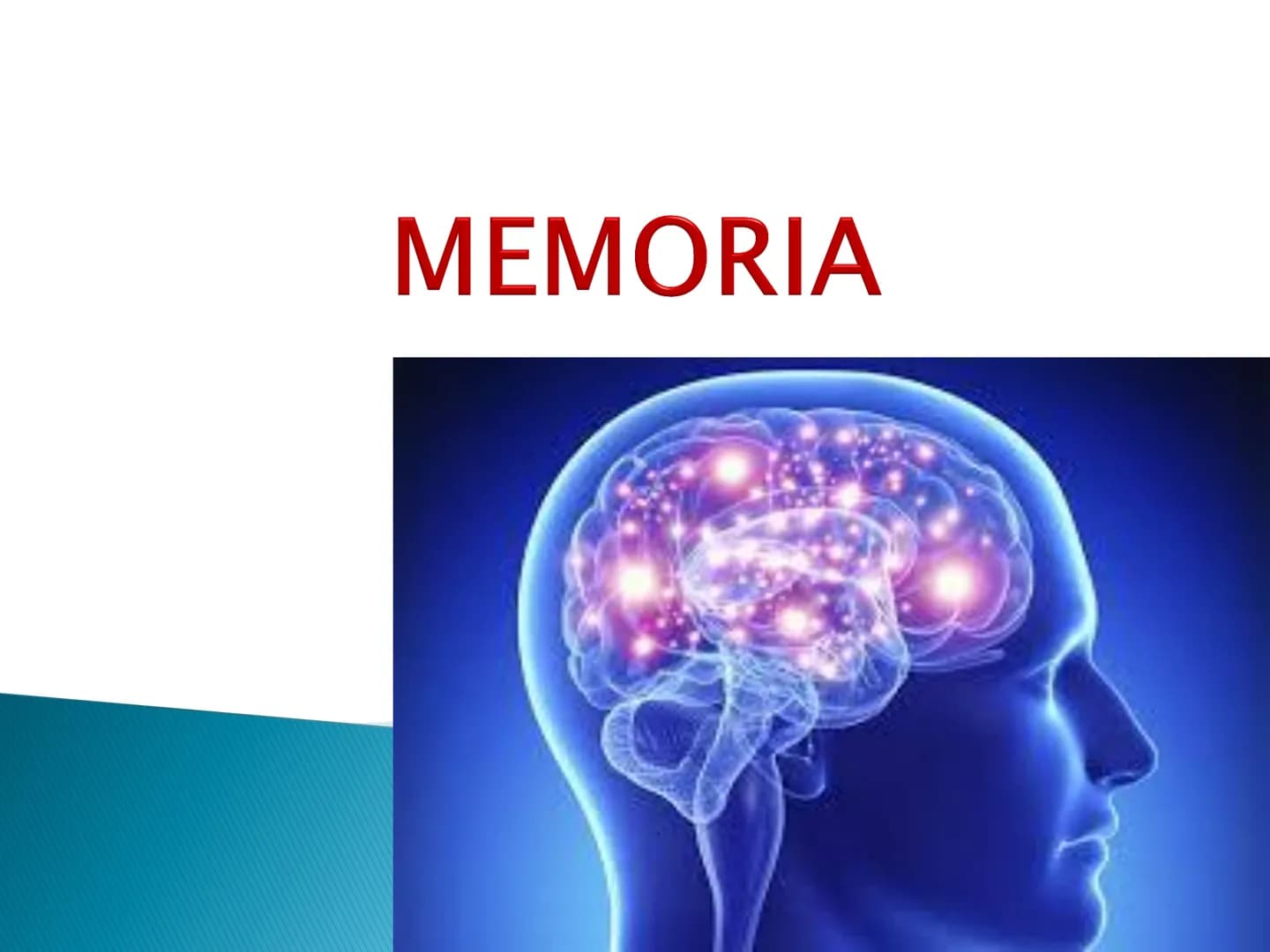 # MEMORIA - I. Definitie
- II. Caracterizare generala
- III. Caracterizare specifica
- IV. Procesele memoriei
- V. Factorii, legile si optim