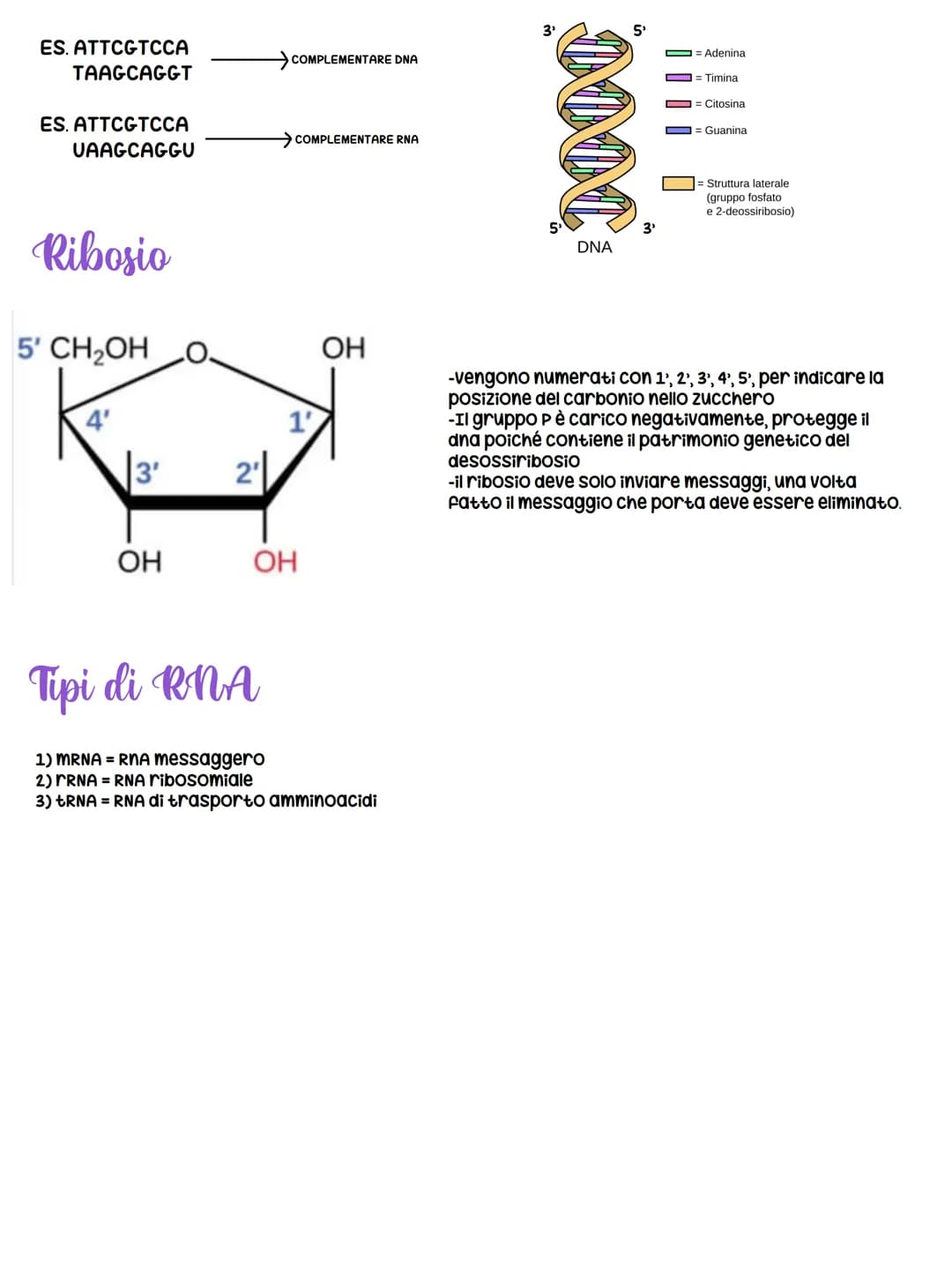 # Le biomolecole
Le biomolecole sono composti organici polifunzionali che formano la struttura delle cellule e
svolgono un ruolo fondamenta