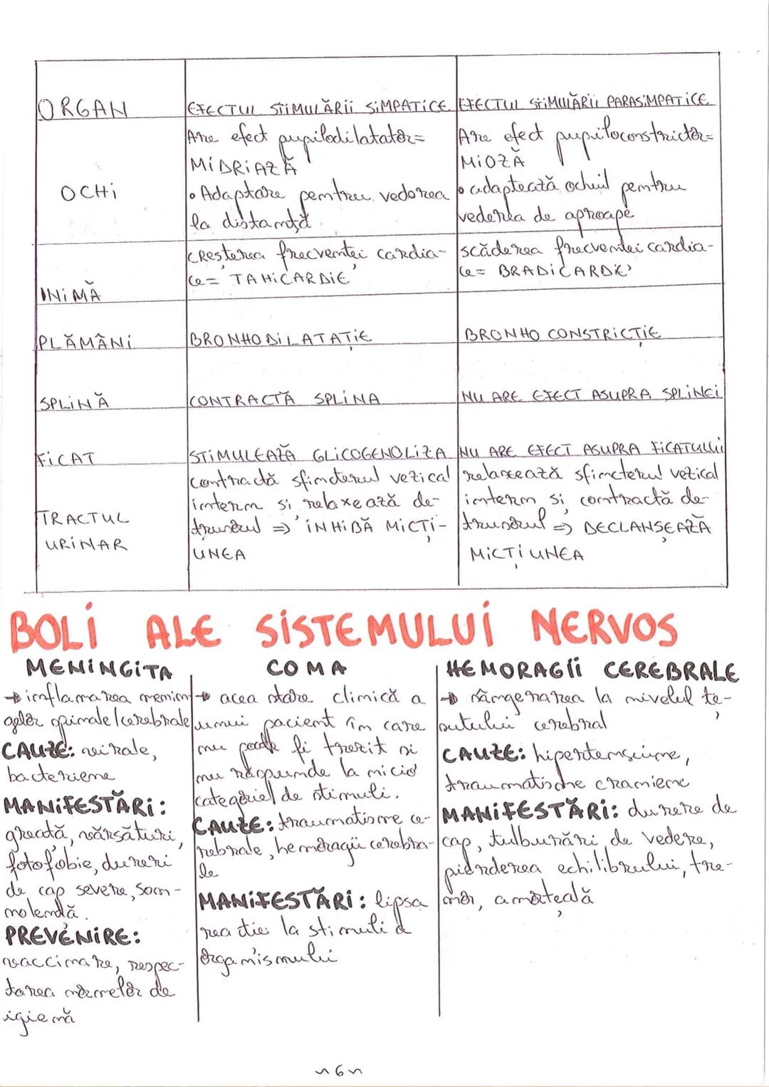 # SEGMENTELE CORPULUÍ
# UMAN
ICAP- alcătuit dim NEUROCRANIU
IVISCEROCRAN
VISCEROCRANIU
IIGAT
III TRUNCHI format din poTORACE sunt cxpati