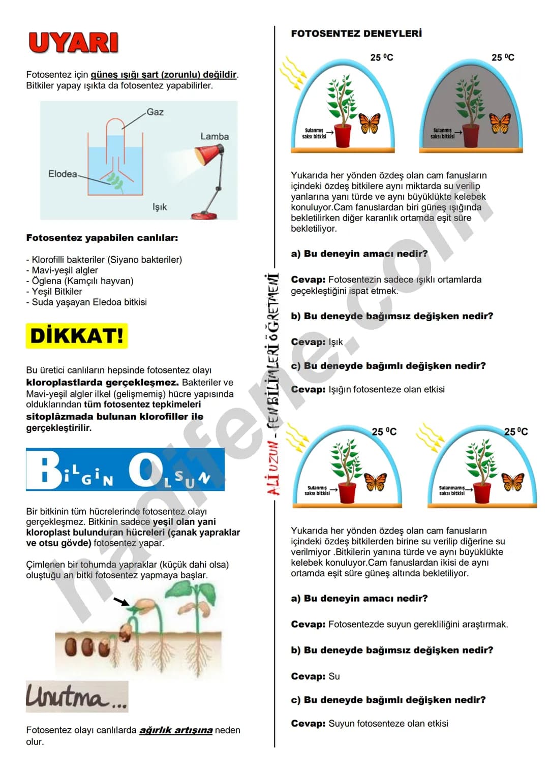 # 8.SINIF 6.ÜNİTE
# BESİN ZİNCİRİ
# BESİN ZİNCİRİ VE ENERJİ DÖNÜŞÜMLERİ
# BESİN ZİNCİRİNDE ENERJİ AKIŞI
Bir bölgede canlı ve cansızlardan
