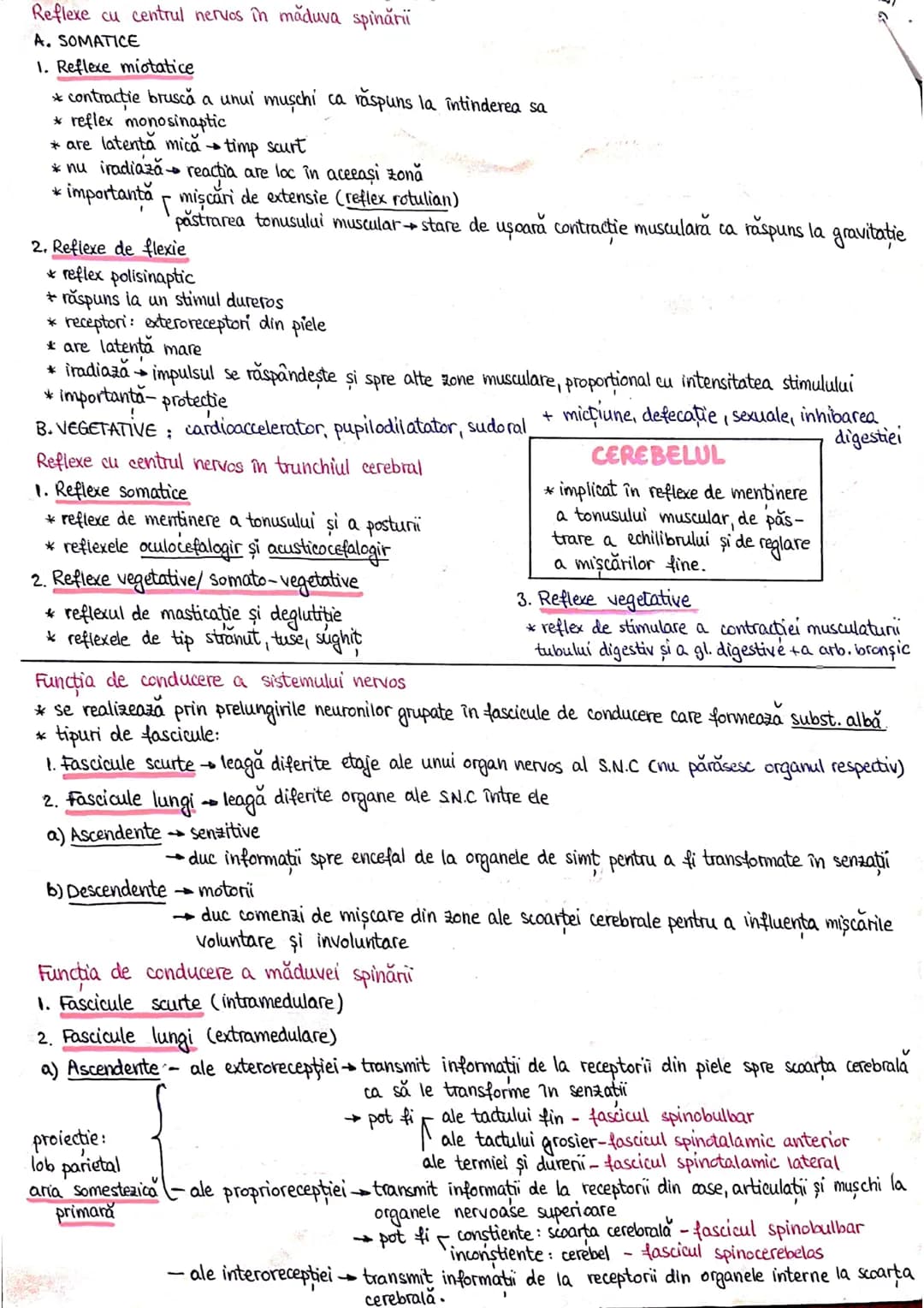 # PLANURI SI RAPORTURI ANATOMICE
## TOPOGRAFIA ORGANELORN
Axele corpului omenesc.
lateral drept lateral stâng
anterior (ventral) inferior