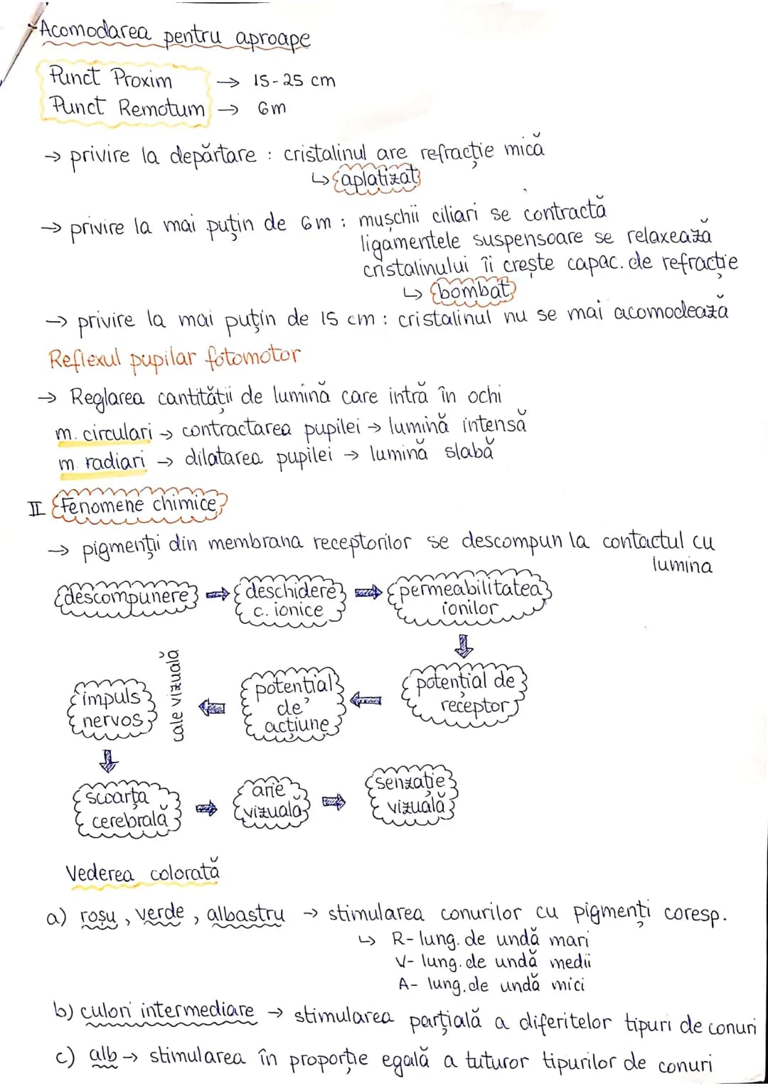 # PLANURI SI RAPORTURI ANATOMICE
## TOPOGRAFIA ORGANELORN
Axele corpului omenesc.
lateral drept lateral stâng
anterior (ventral) inferior