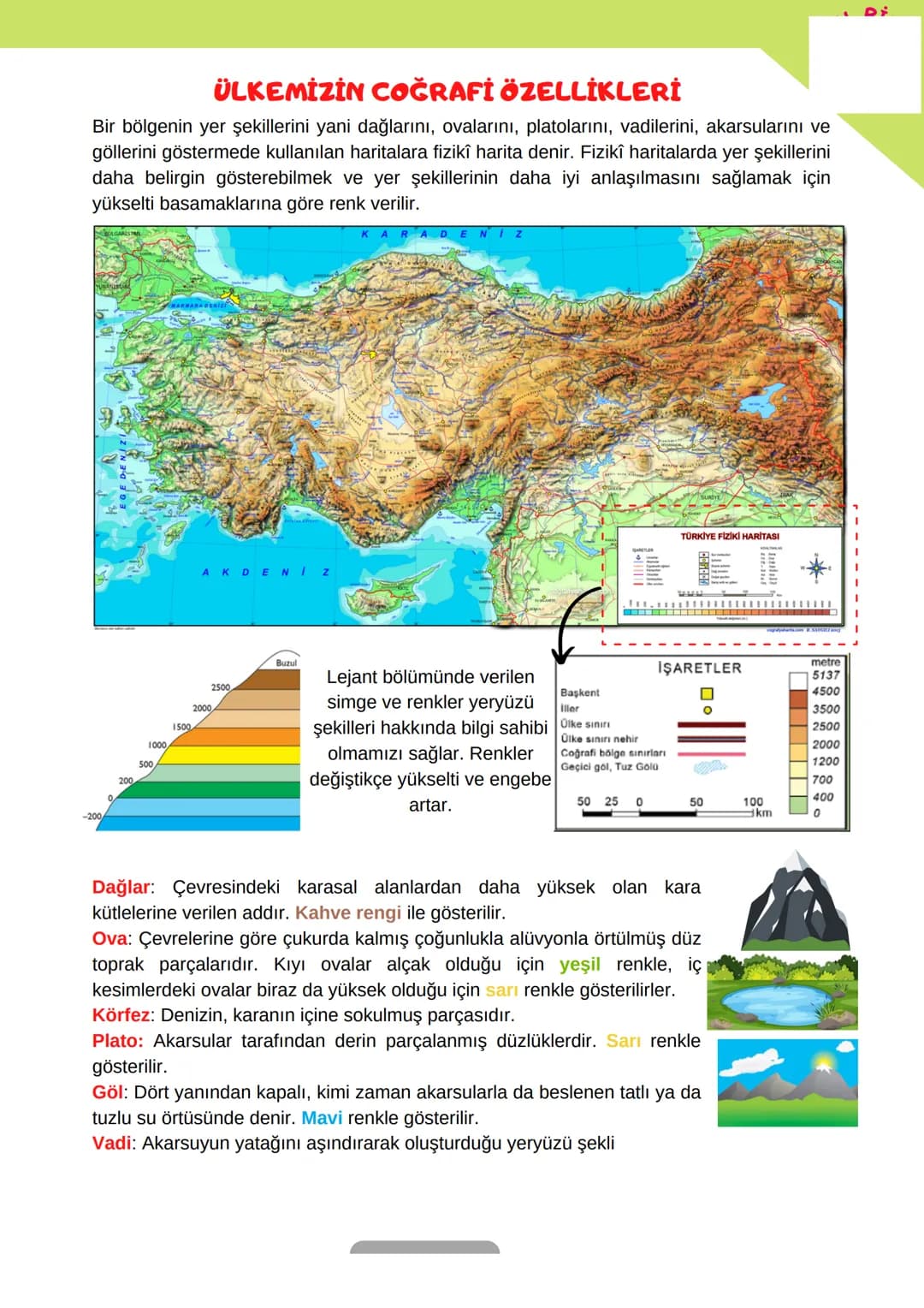 Kuzey Kutup Noktası
00
Paraleller
MERİDYENLER
60
45
30
15
Ekvator
15
PARALELLER
* Ekvatora paralel olarak uzanan dairelerdir. Paralel