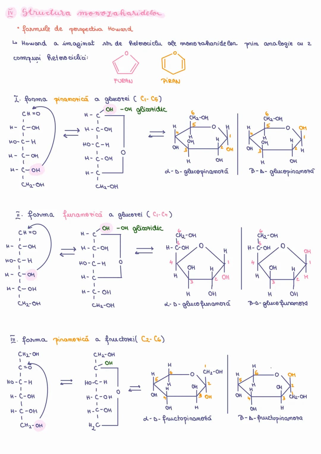 # ZAHARIBE
~ GLUCIDEN
$C_nH_{2n}O_n$
I Definitie: Zahanidele sumt d.p.d.v chimic compusi POLIHIDROXICARBONİLİCİ
Clasificare
↳ după comp
