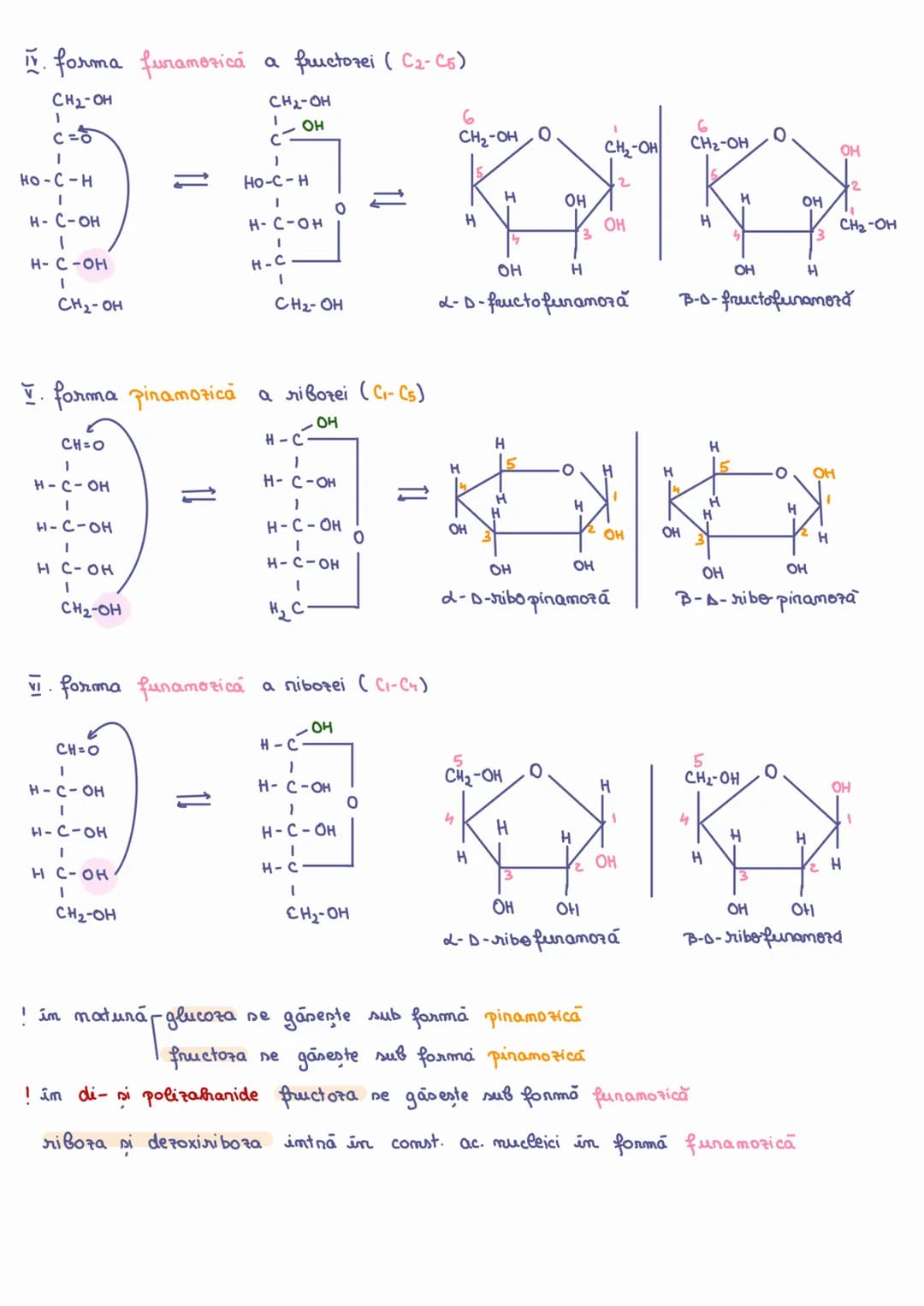 # ZAHARIBE
~ GLUCIDEN
$C_nH_{2n}O_n$
I Definitie: Zahanidele sumt d.p.d.v chimic compusi POLIHIDROXICARBONİLİCİ
Clasificare
↳ după comp