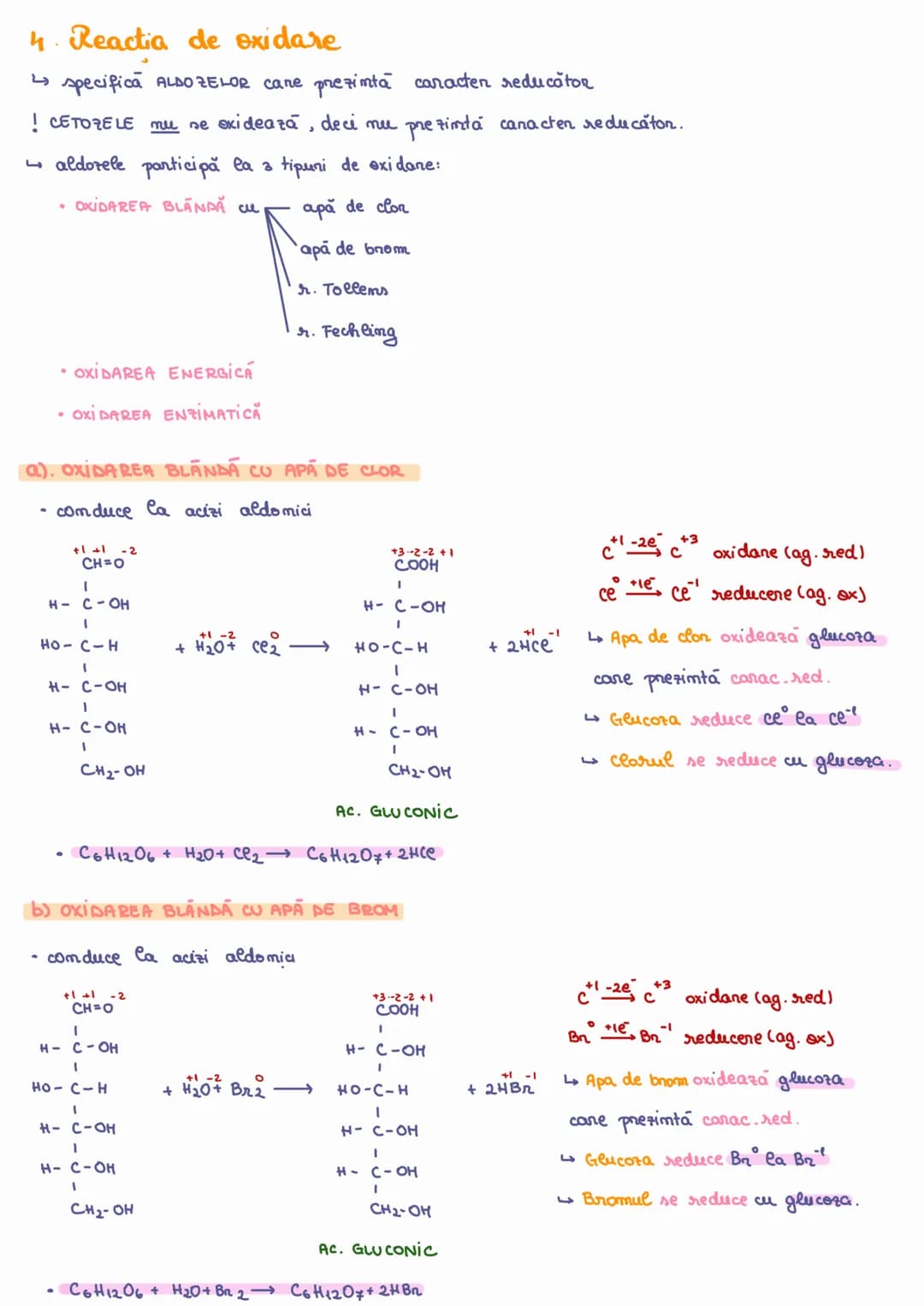 # ZAHARIBE
~ GLUCIDEN
$C_nH_{2n}O_n$
I Definitie: Zahanidele sumt d.p.d.v chimic compusi POLIHIDROXICARBONİLİCİ
Clasificare
↳ după comp
