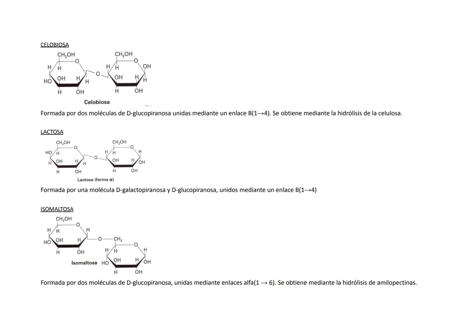 GLÚCIDOS C-H-O HIDRATOS DE CARBΟΝΟ
MONOSACÁRIDOS
→ TRIOSAS (gliceraldehído, dihidroxiacetona)
→ TETROSAS
→ PENTOSAS (ribosa, desoxirribosa)