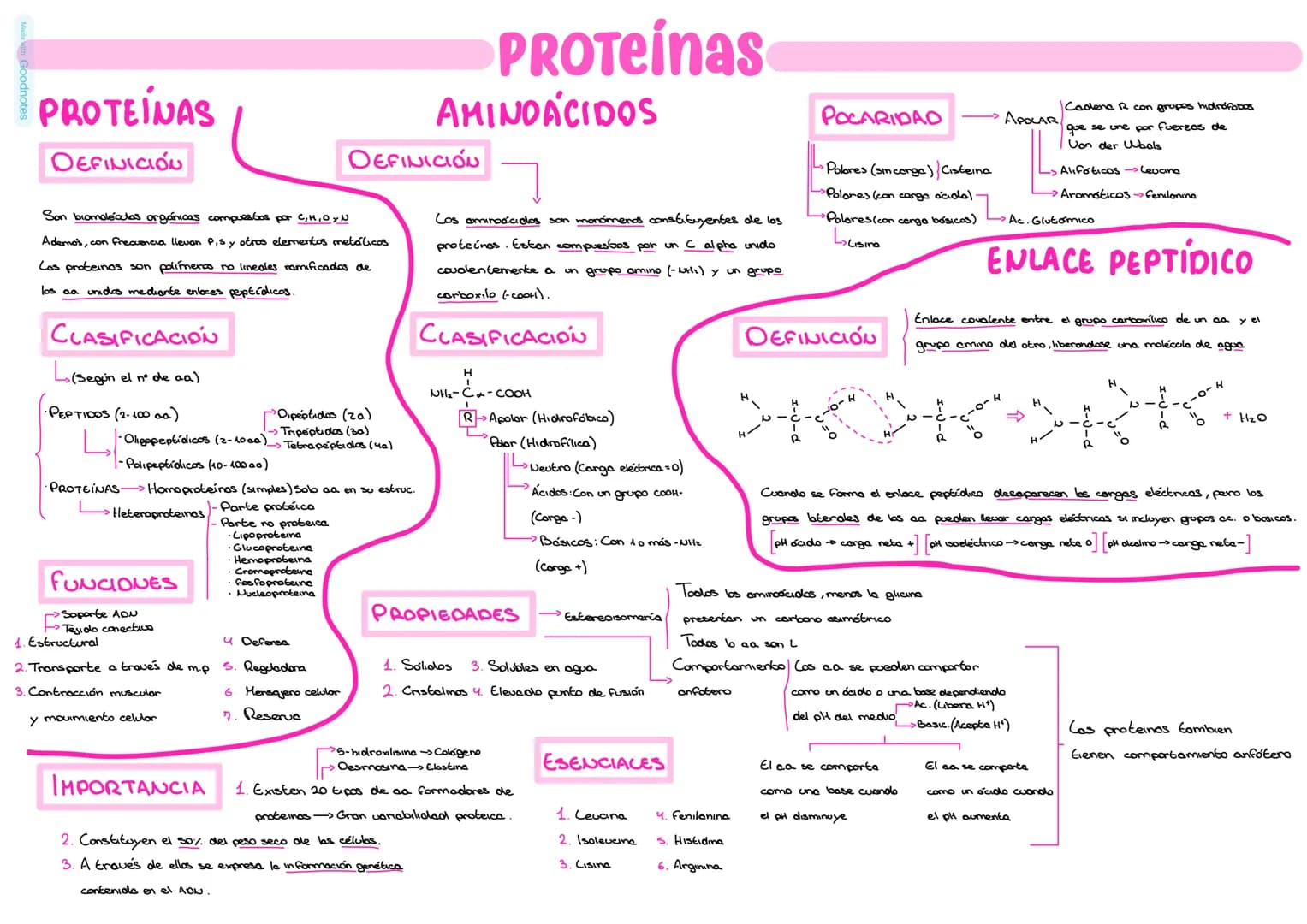 # PROTEÍNAS
DEFINICIÓN
Son biomoléculas orgánicas compuestos por C,H,OYN
Ademos, con frecuencia llevan Pis y otros elementos metálicos
C