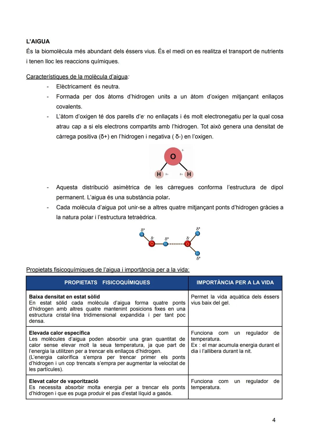 # INTRODUCCIÓ: LA
# UNITAT ESTRUCTURAL I
# FUNCIONAL DE LA VIDA
Sumari:
1. Nivells d'organització dels éssers vius
2. Composició quím