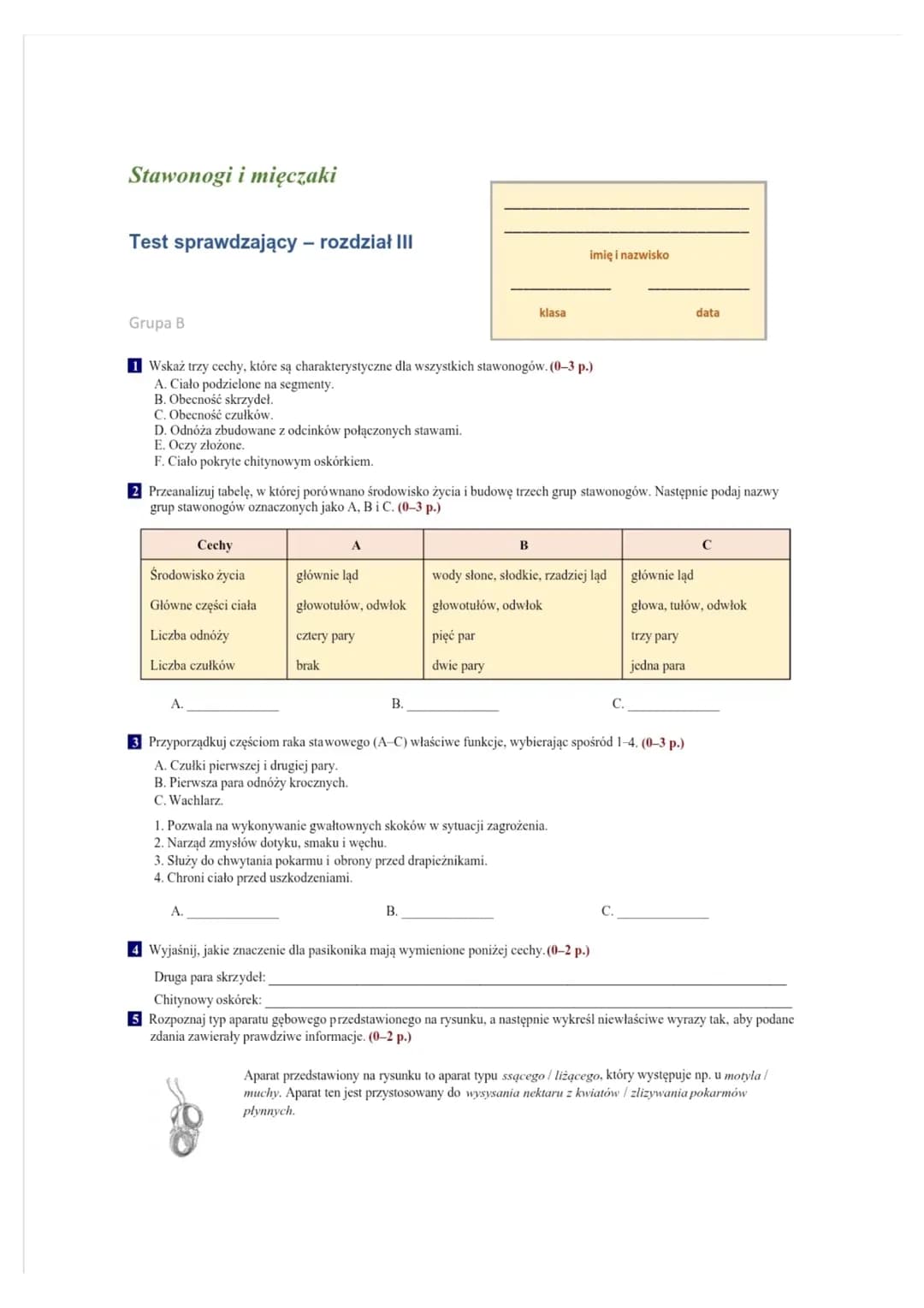 # Test sprawdzający - rozdział III
klasa
imię i nazwisko
Grupa A
1 Wskaż trzy cechy, które są charakterystyczne dla wszystkich stawonogó