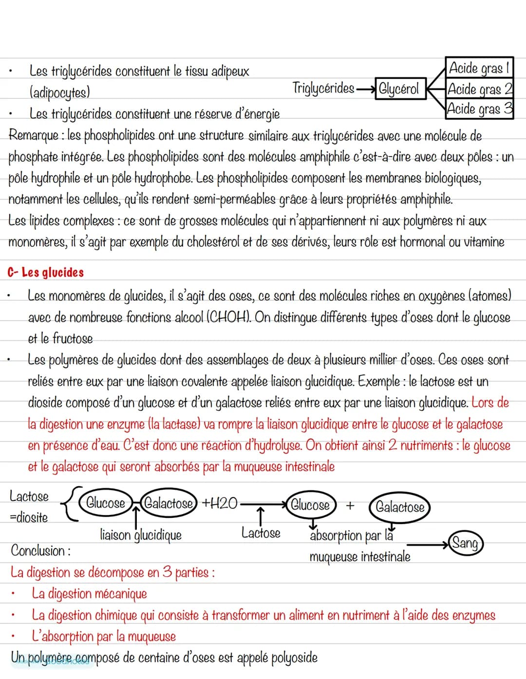 # Partie 3: L'alimentation
## Chapitre 3: Les aliments
1- Les groupes d'aliments
Un aliment est un produit complexe contenant divers types
