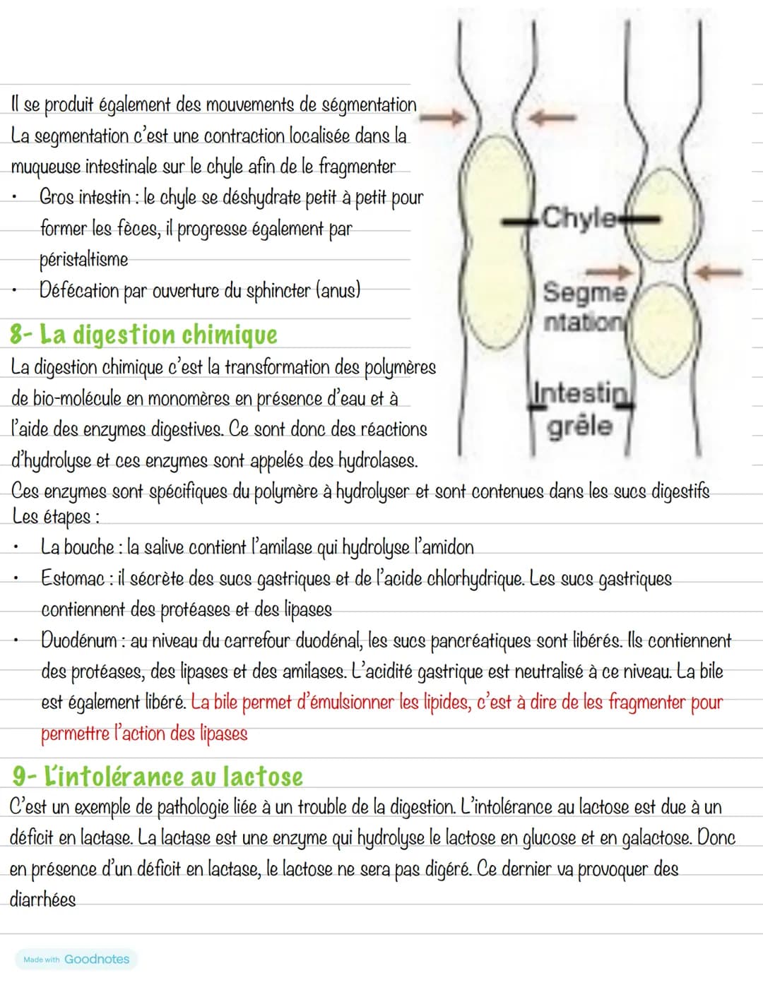# Partie 3: L'alimentation
## Chapitre 3: Les aliments
1- Les groupes d'aliments
Un aliment est un produit complexe contenant divers types