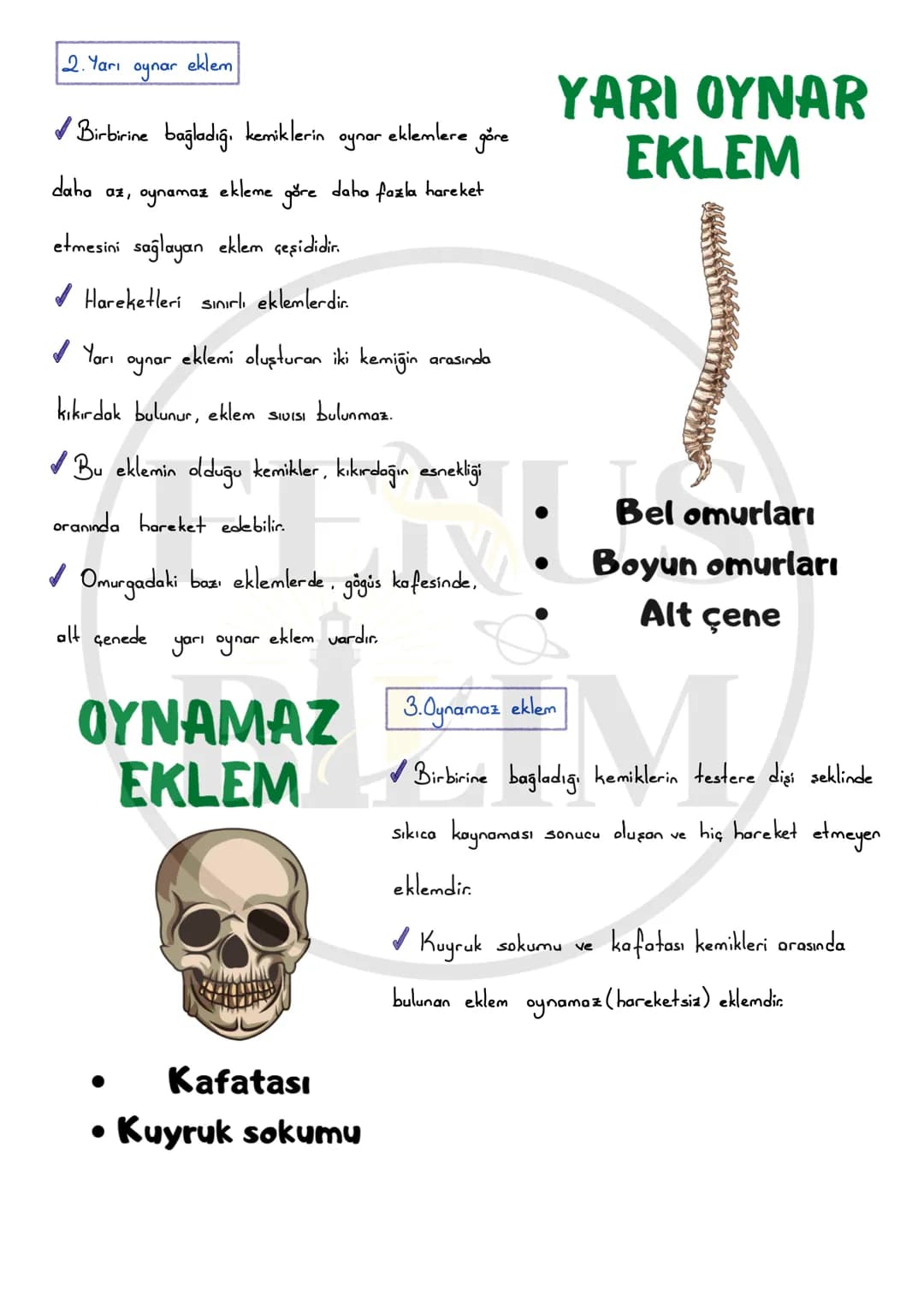 DESTEK VE HAREKET SİSTEMİ
Vücudumuza desteklik sağlayan, dik durmasını sağlayan,
iç organları koruyan, çeşitli hareketleri (yürüme, yazı ya
