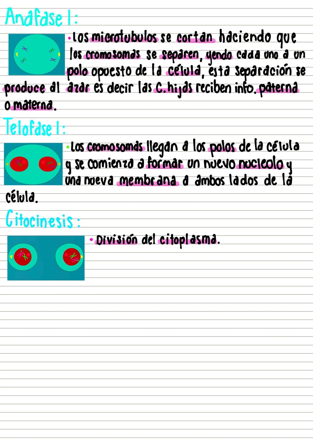 #célula y c.celular
Unidadad funcional y estructural de
de los seres vivos.
Eucariotds
tipos Procariotas
Estructura:
Membrana: Se Compone d