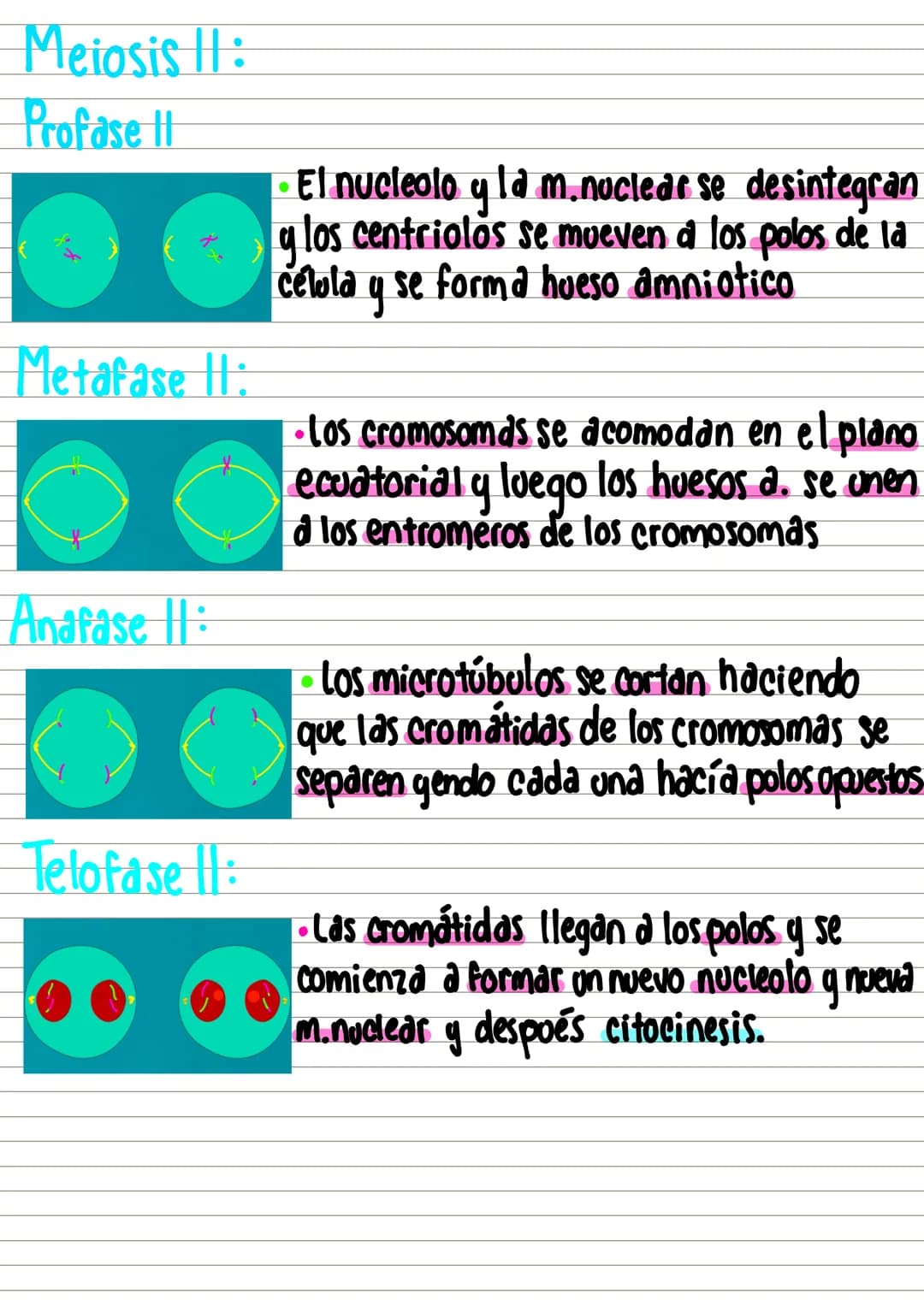 #célula y c.celular
Unidadad funcional y estructural de
de los seres vivos.
Eucariotds
tipos Procariotas
Estructura:
Membrana: Se Compone d
