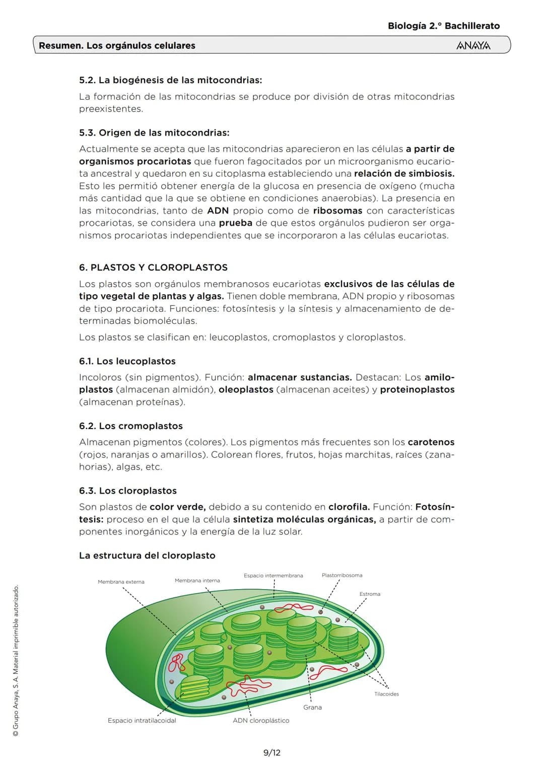 # Resumen. Los orgánulos celulares
Biología 2.º Bachillerato
ANAYA
1. EL CITOPLASMA Y EL CITOSOL
El citoplasma (interior de la célula) es