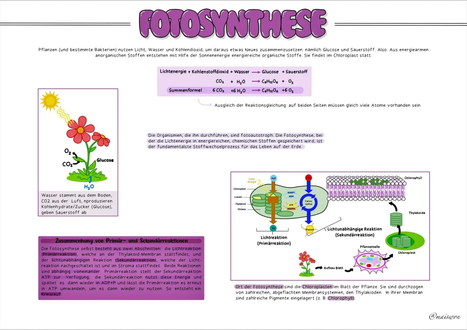 STOFFWECHSEL
- PHYSIOLOGIE # GRUNDKENNTNISSE
## Glossar
| Begriff | Definition