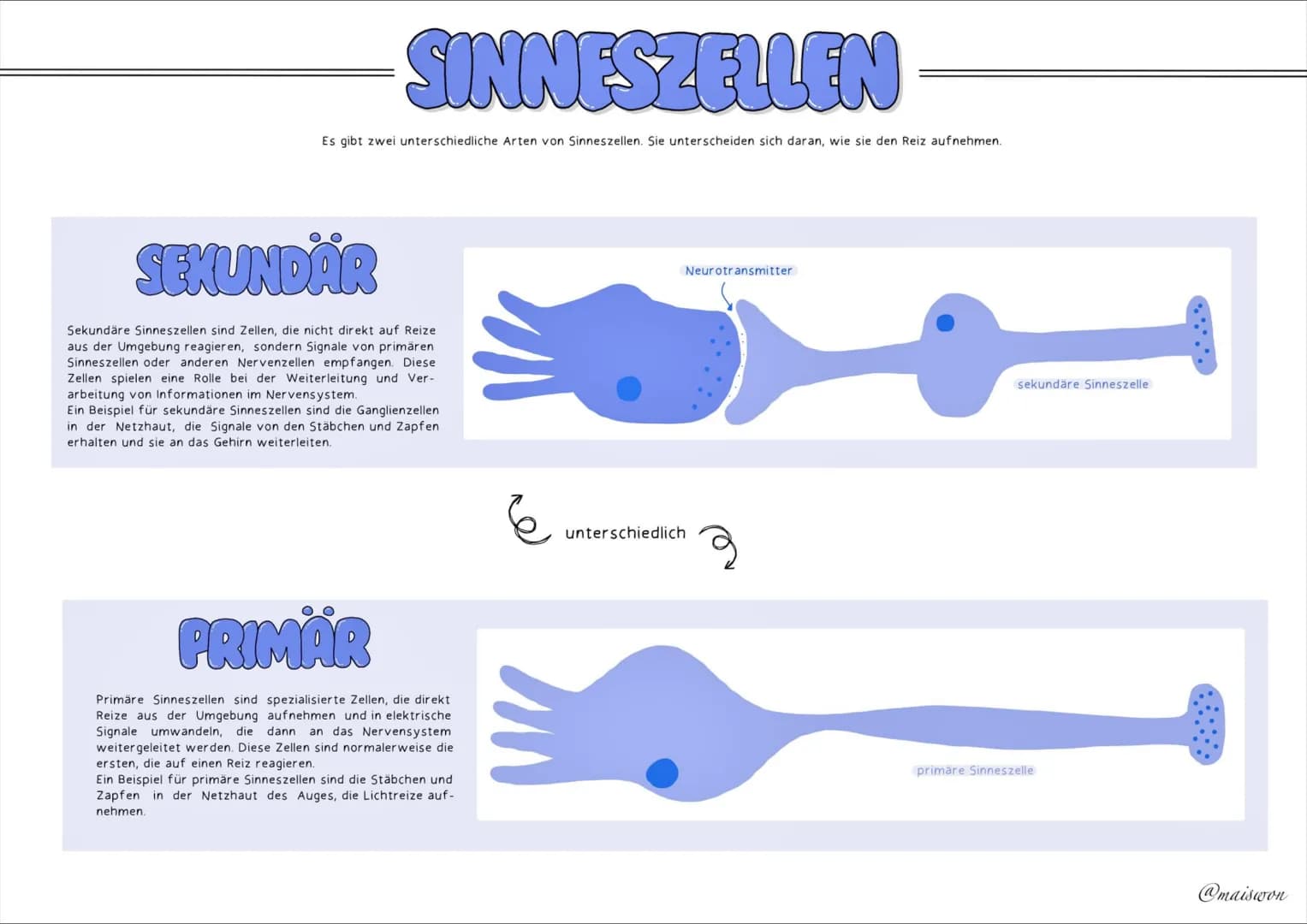 NEUROLOGIE # NEURON
Die Nervenzelle - auch Neuron genannt - hat die Aufgabe, Reize unserer Umwelt oder aus dem Inneren des Körpers an unser