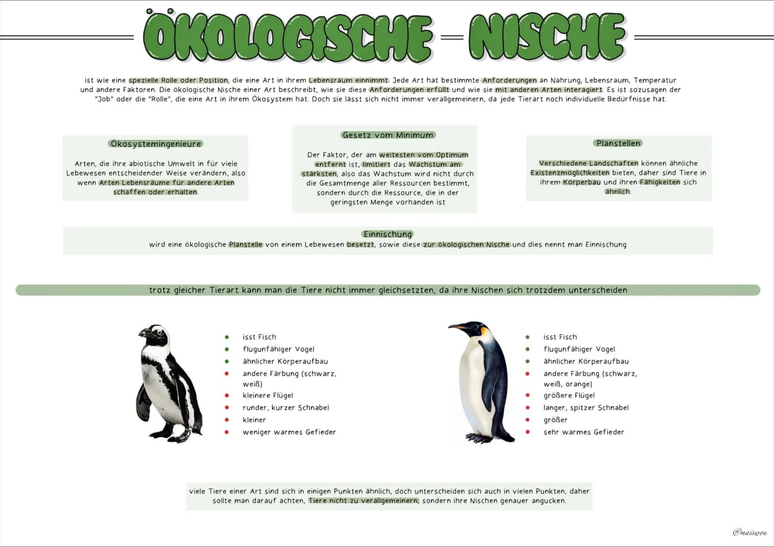 ÖKOLOGIE # GRUNDBEGRIFFE
Biotop
Ein Biotop definiert einen bestimmten Lebensraum einer
Lebensgemeinschaft.
Es besteht aus abiotischen Fakt