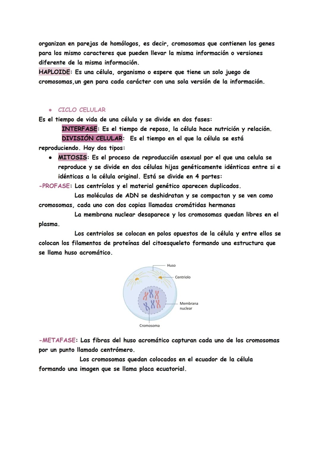 # TEMAS 4/5: BIOQUÍMICA
Genética: Es la ciencia que estudia la herencia de caracteres es decir, cómo se
transmite la información para const