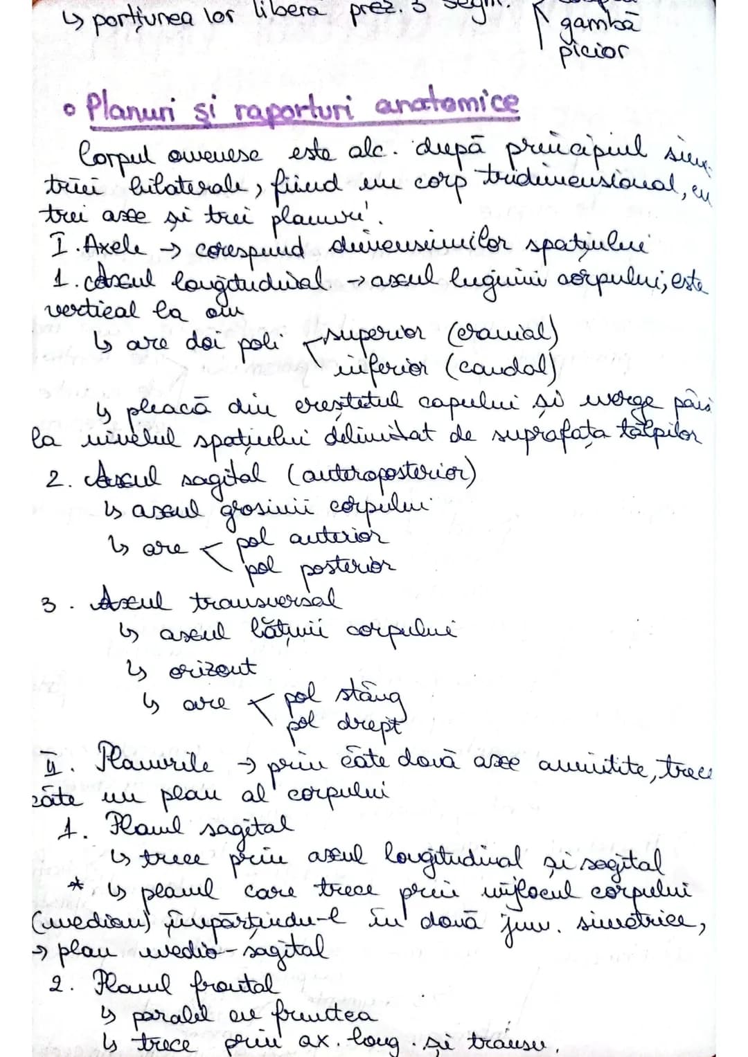 # 1. ALCATUIREA CORPULUI UMAN
# 1. TOPOGRAFIA ORGANELOR Şİ
# SISTEMELOR DE ORGANE
In corpul uman celulele + tesuturile = organe/
sisteme de