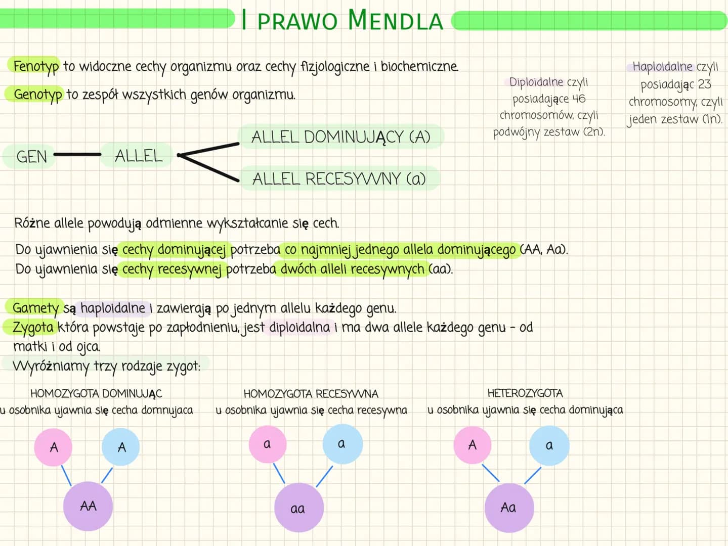 # I PRAWO MENDLA
Fenotyp to widoczne cechy organizmu oraz cechy fizjologiczne i biochemiczne.
Genotyp to zespół wszystkich genów organizmu