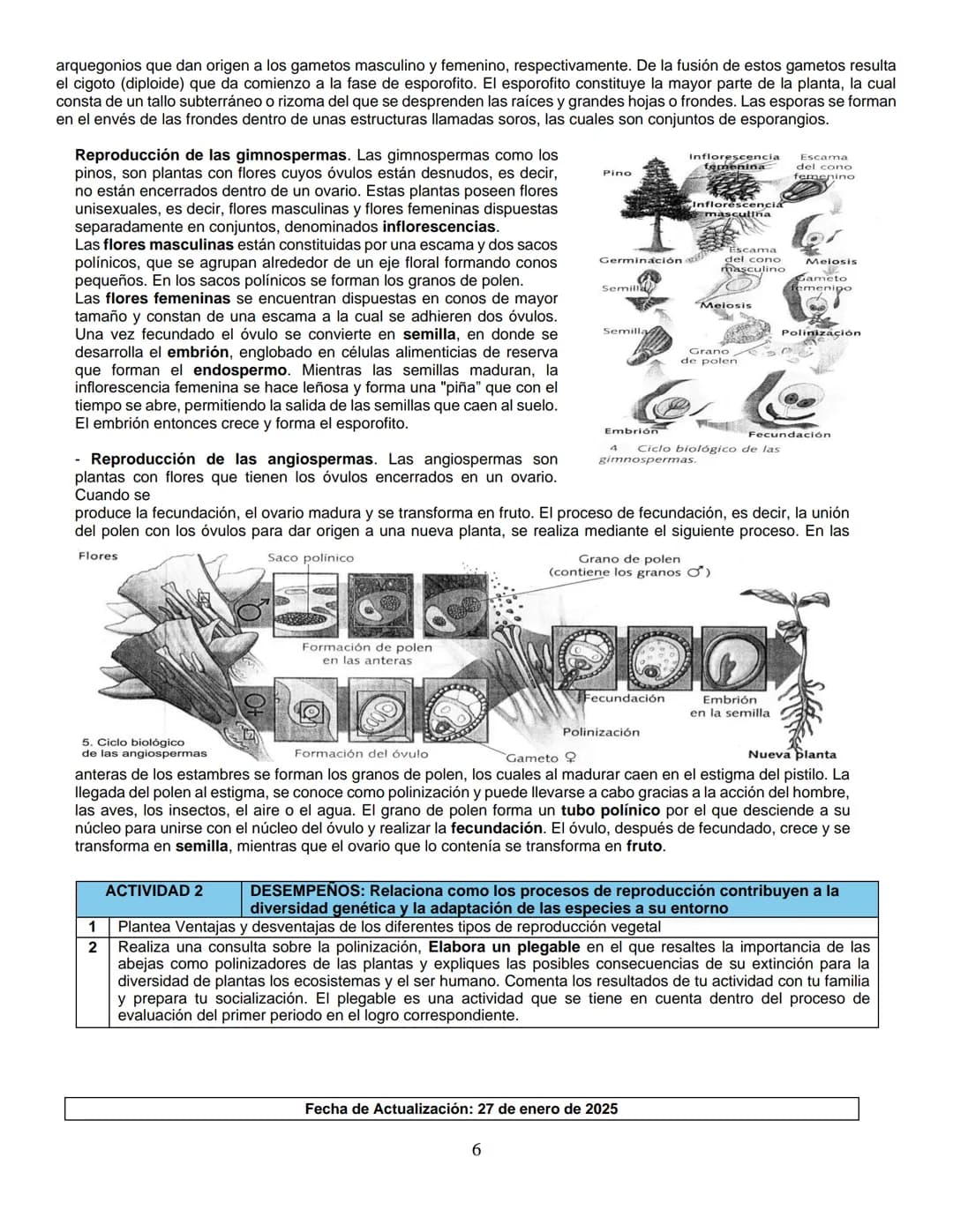 Institución Educativa Municipal
ESCUELA NORMAL SUPERIOR DE PASTO
GUIA DE APRENDIZAJE
| AÑO ESCOLAR | 2025 |
| --- | --- |
| NIVEL | BÁSICA