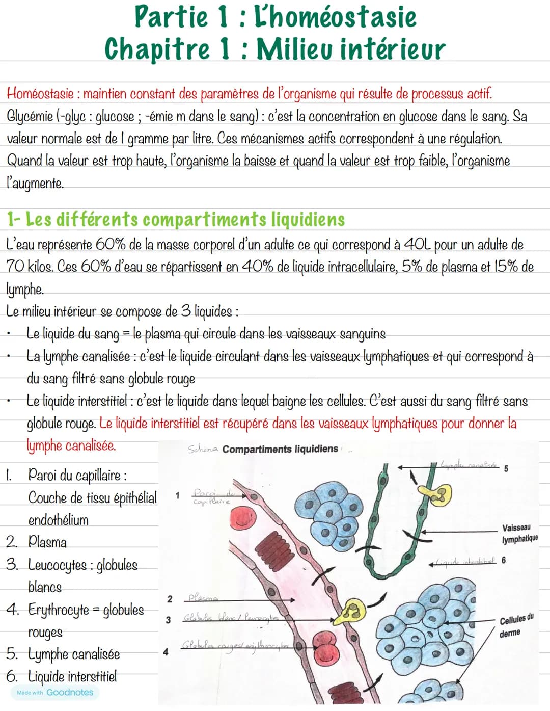 # Partie 1: L'homéostasie
## Chapitre 1: Milieu intérieur
Homéostasie: maintien constant des paramètres de l'organisme qui résulte de proce