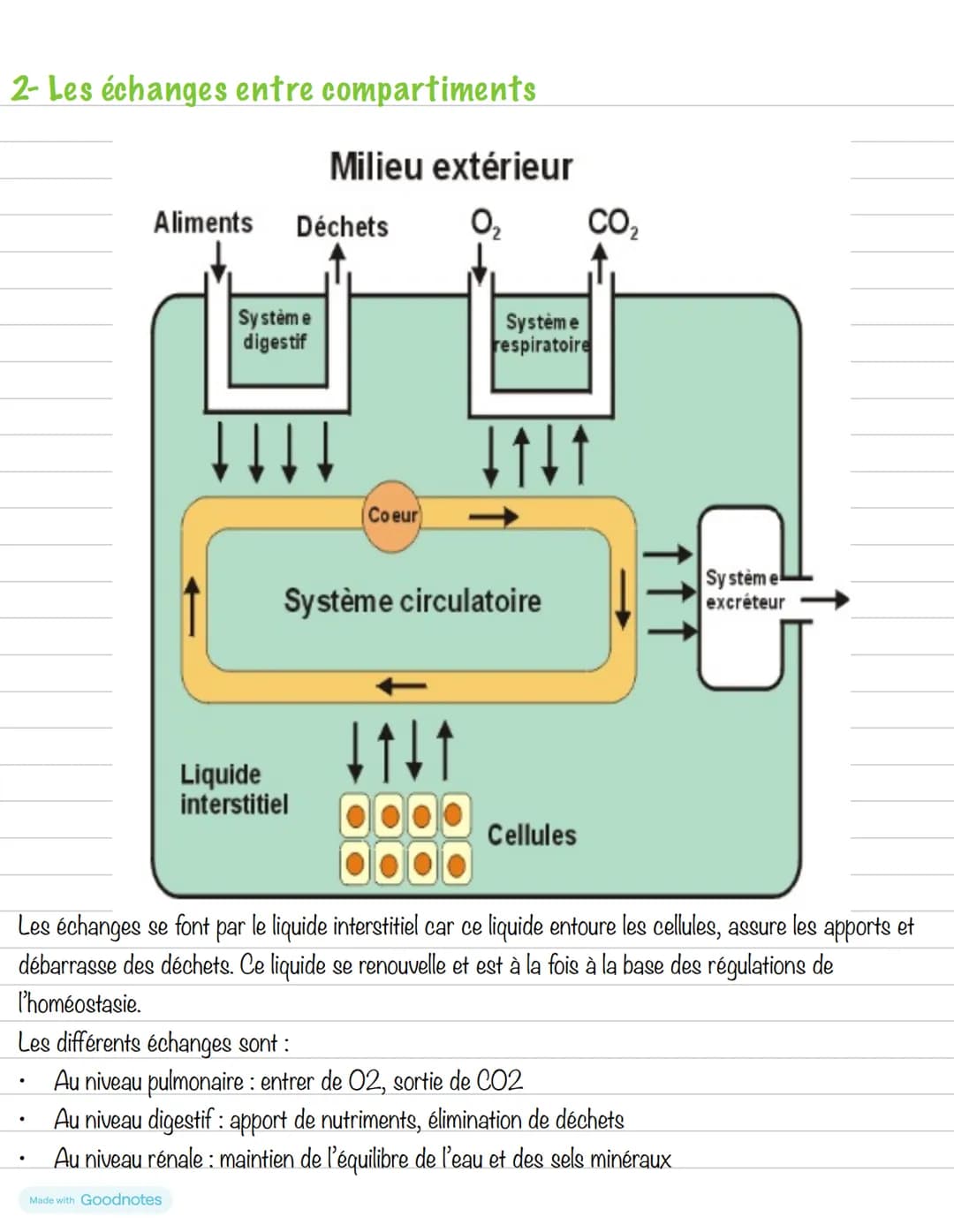 # Partie 1: L'homéostasie
## Chapitre 1: Milieu intérieur
Homéostasie: maintien constant des paramètres de l'organisme qui résulte de proce