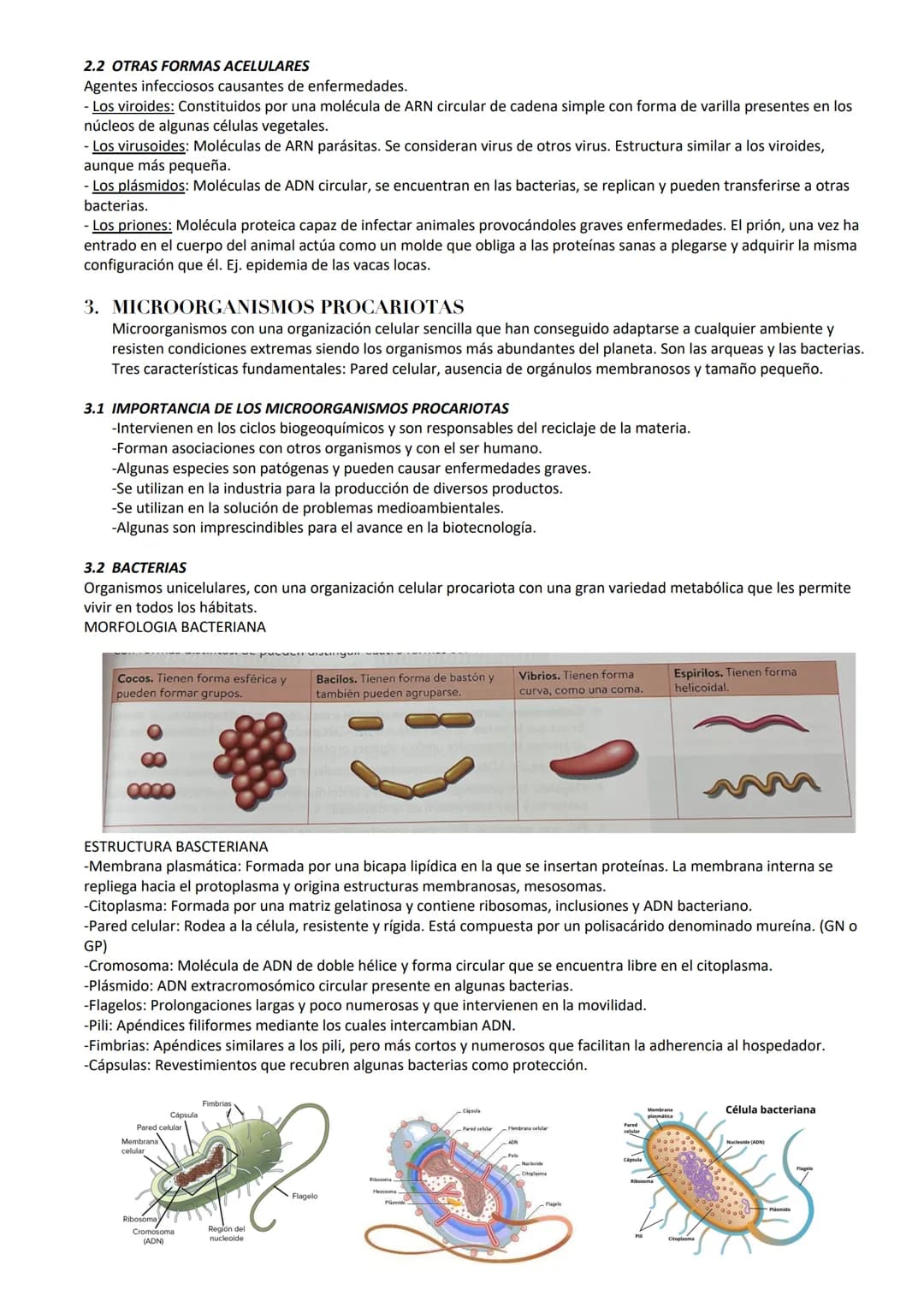 # MICROORGANISMOS Y FORMAS ACELULARES
1. MICROORGANISMOS: Concepto y diversidad
Los microorganismos son un grupo de seres vivos que solo p
