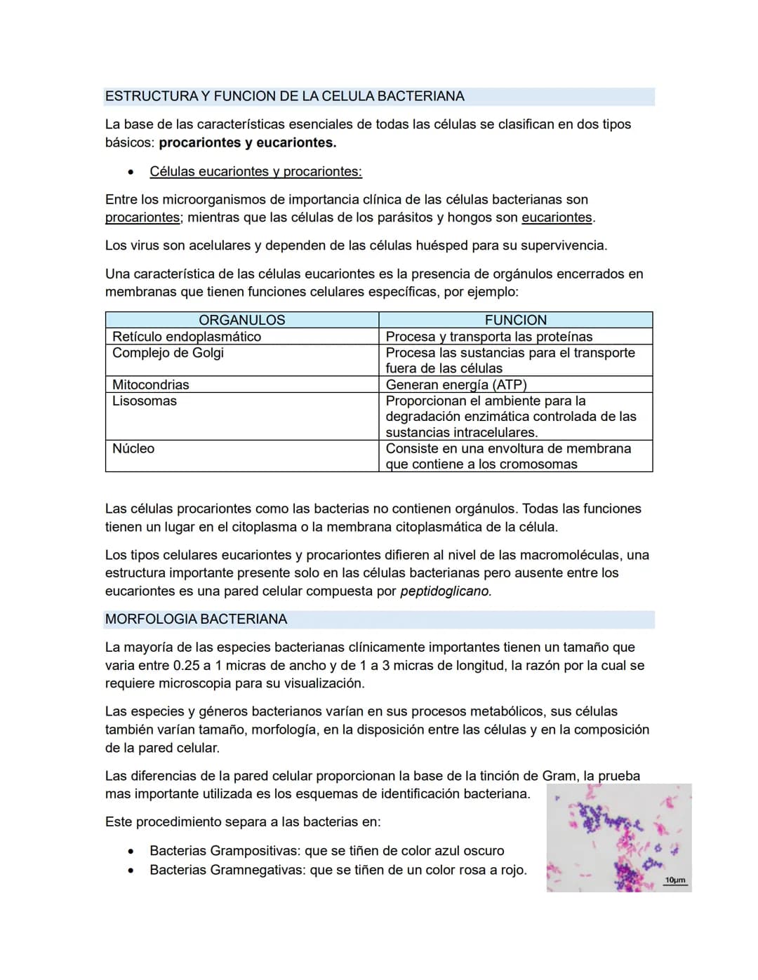 # MICROBIOLOGIA GENEREAL
## TAXONOMIA MICROBIANA
La taxonomía es un área de la ciencia biológica que comprende tres disciplinas que son: