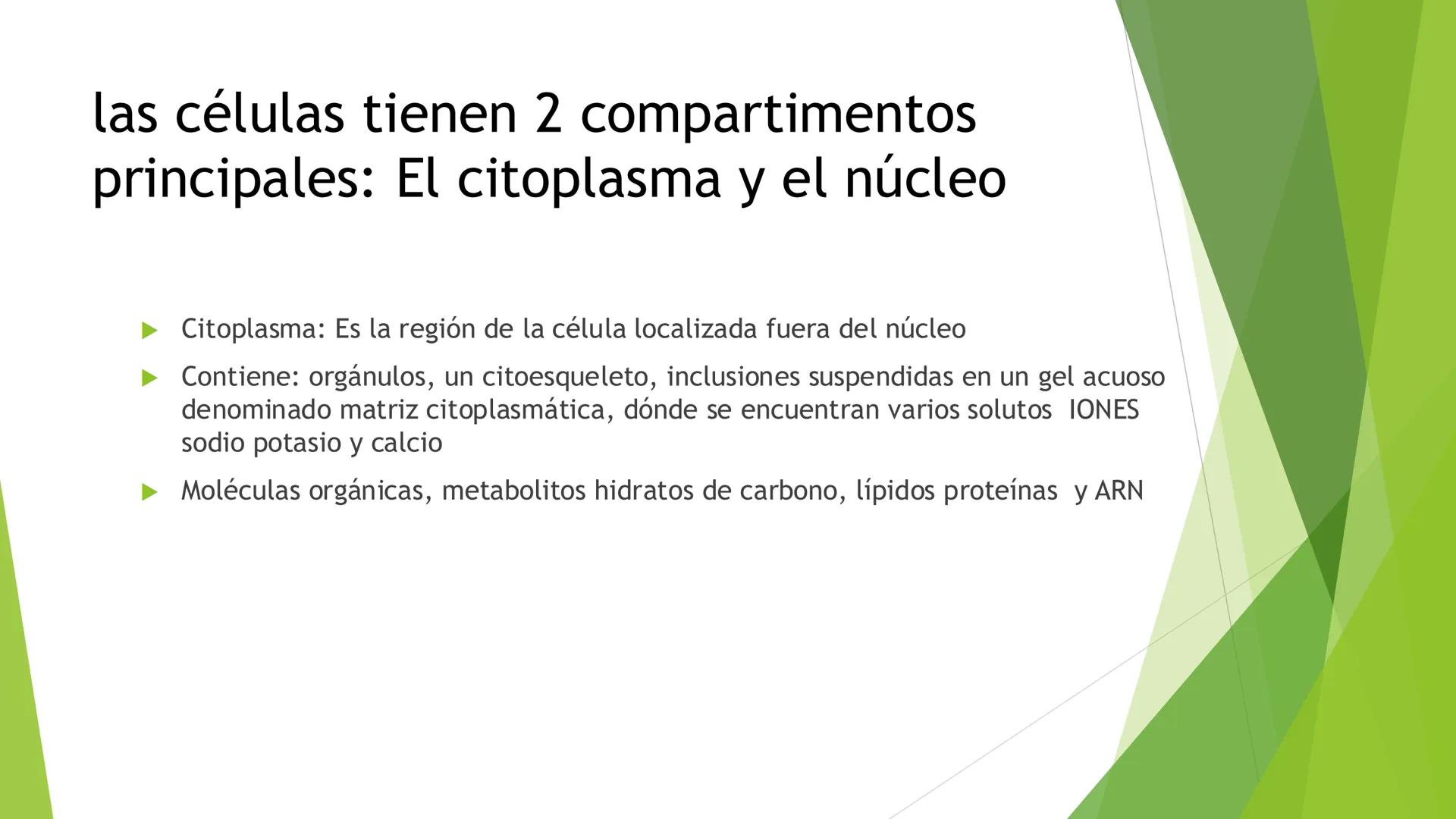 # Morfología celular
# División celular # CÉLULA
Las células son las unidades estructurales y funcionales básicas de todos los
organismos