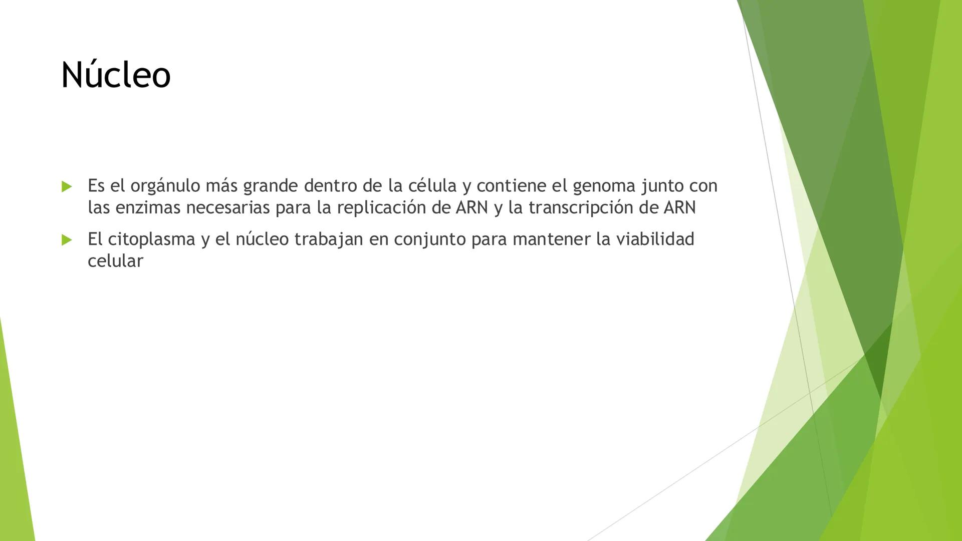# Morfología celular
# División celular # CÉLULA
Las células son las unidades estructurales y funcionales básicas de todos los
organismos