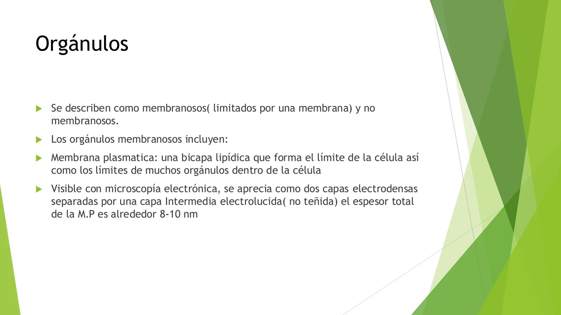 # Morfología celular
# División celular # CÉLULA
Las células son las unidades estructurales y funcionales básicas de todos los
organismos
