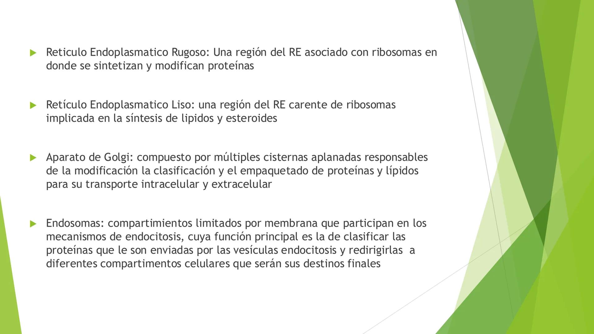 # Morfología celular
# División celular # CÉLULA
Las células son las unidades estructurales y funcionales básicas de todos los
organismos