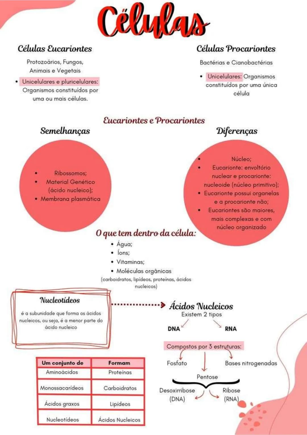 # Células
Células Eucariontes
Protozoários, Fungos,
Animais e Vegetais
* Unicelulares e pluricelulares:
Organismos constituídos por
uma