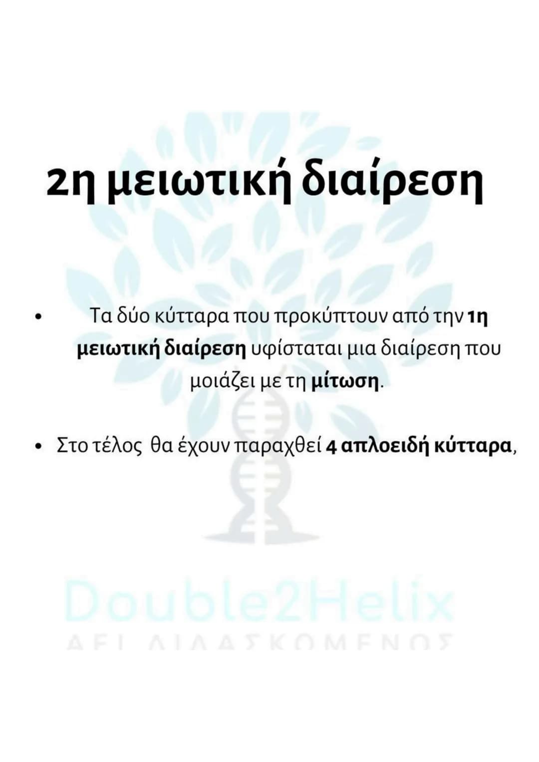 # Μείωση
* γίνεται σε μια ειδική κατηγορία διπλοειδών
κυττάρων (άωρα γεννητικά κύτταρα).
* μετά τον αυτοδιπλασιασμό του DNA γίνονται δύ