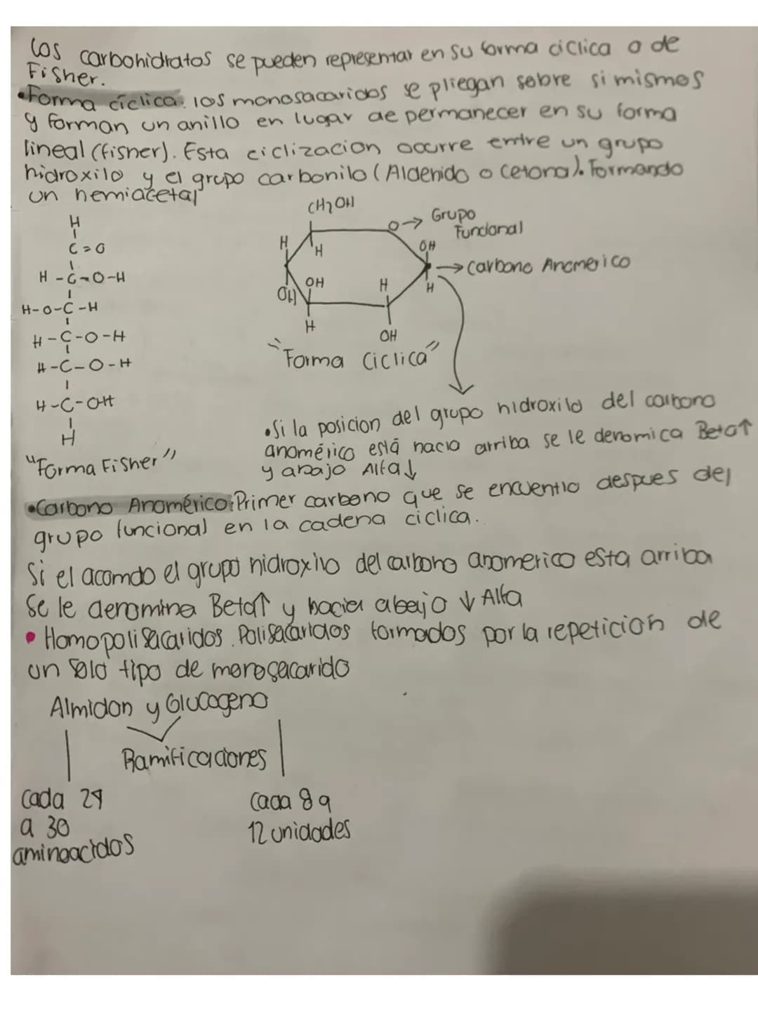 Carbohidratos
Macromoleculas de alto peso molecular formados por unidades
estructurales llamaolos glucidos y unidos por enlaces glucosidos