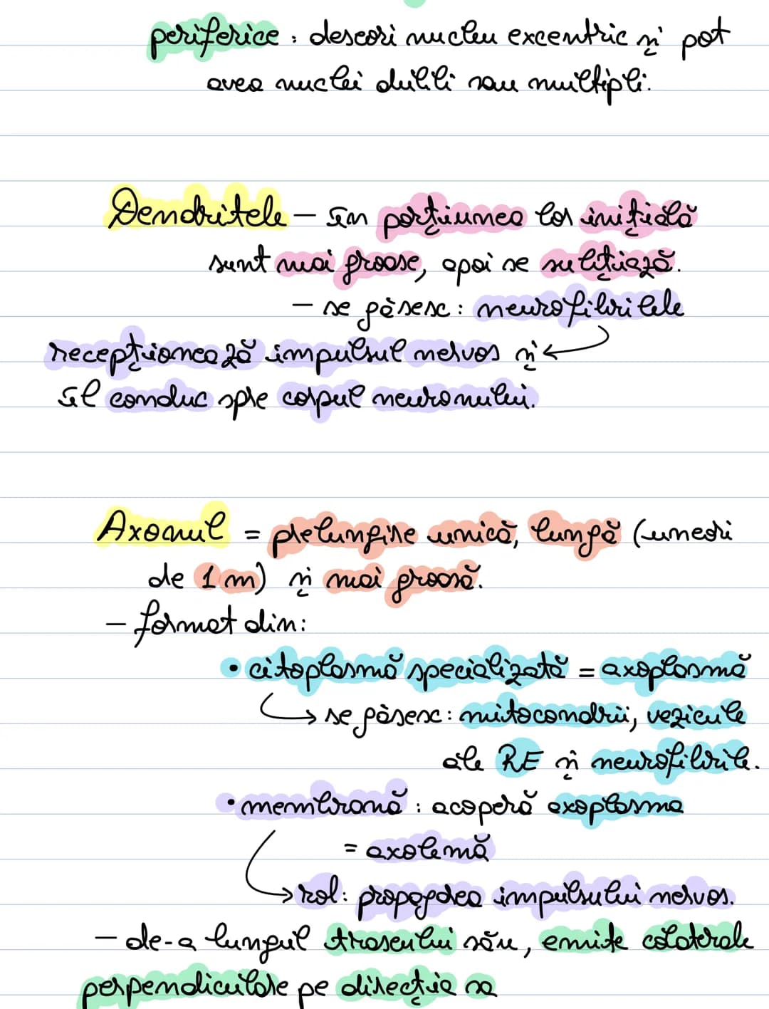 A. Neuronul
= unitate morfofuncţională a SN.
- forma = variabilă: - stelata (coarnele anterioare)
MS
sferică sau ovalară (în gan-
piramida